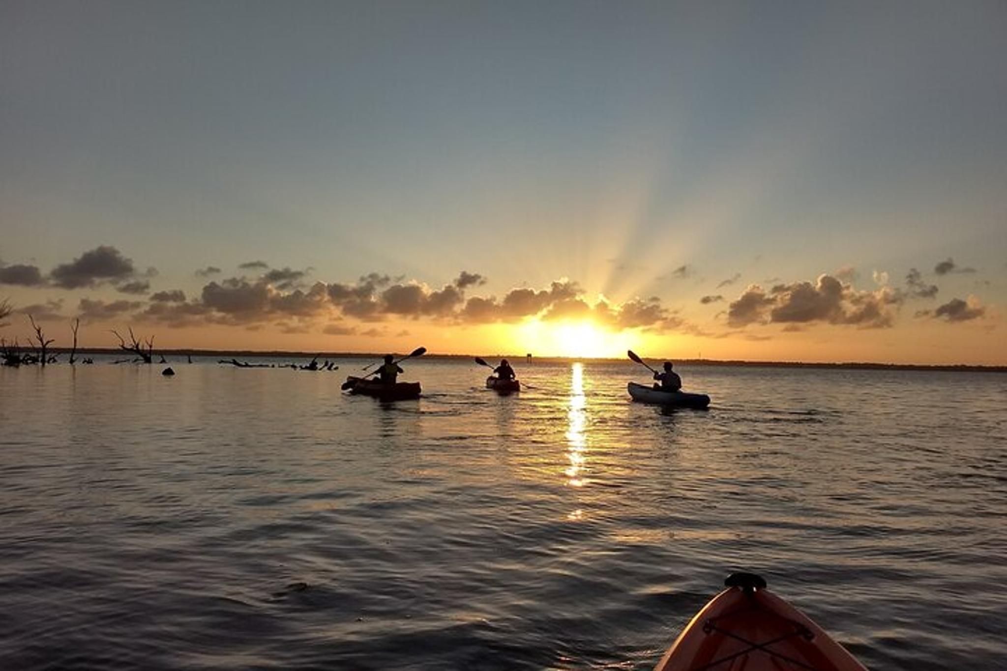 Manatee Cove Kayaking Tour with Dolphin Sightings - Image 2