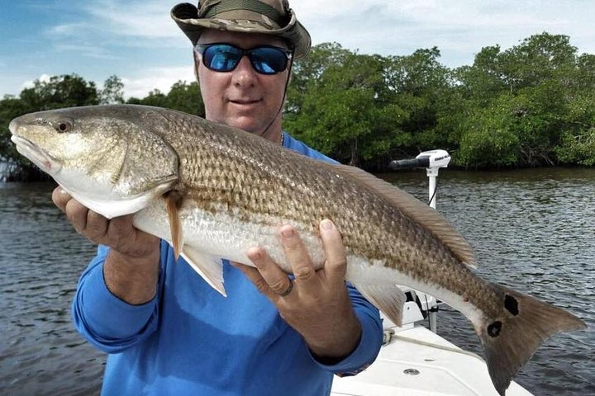 Sarasota Inshore Fishing Charter