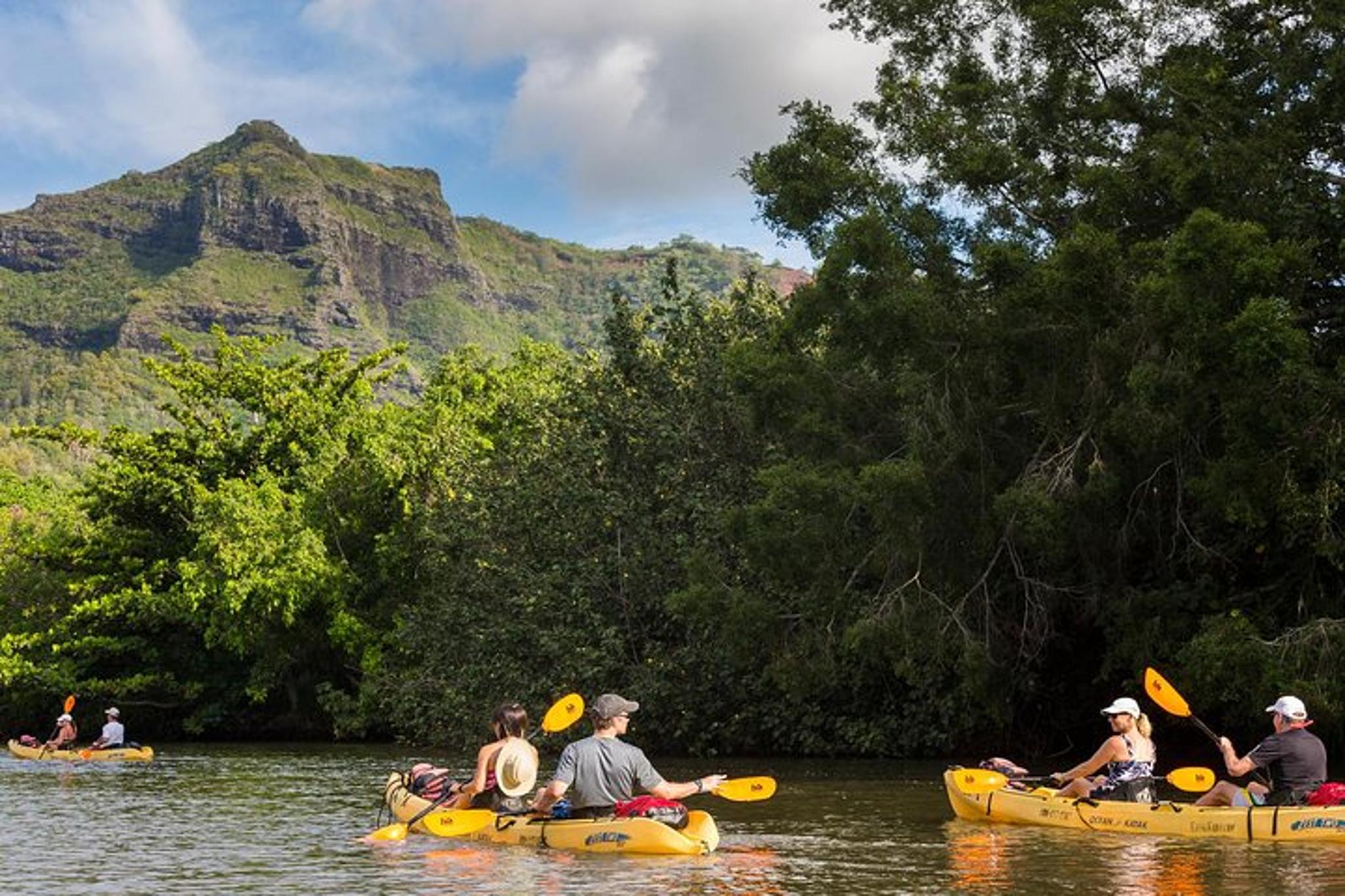 Wailua River Paddle Tour
