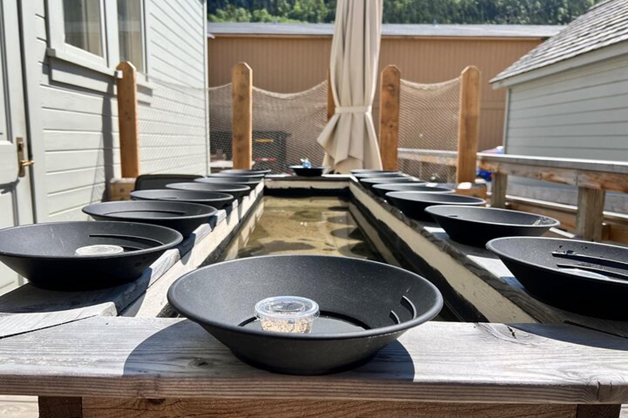 Skagway Gold Panning Adventure - Image 4