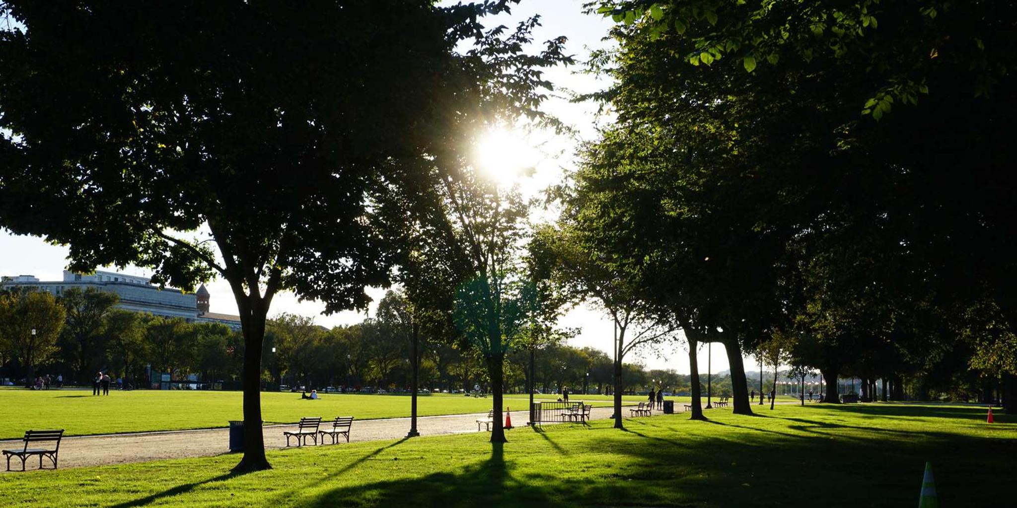 Washington DC National Mall Walking Tour 2 hr - Image 6