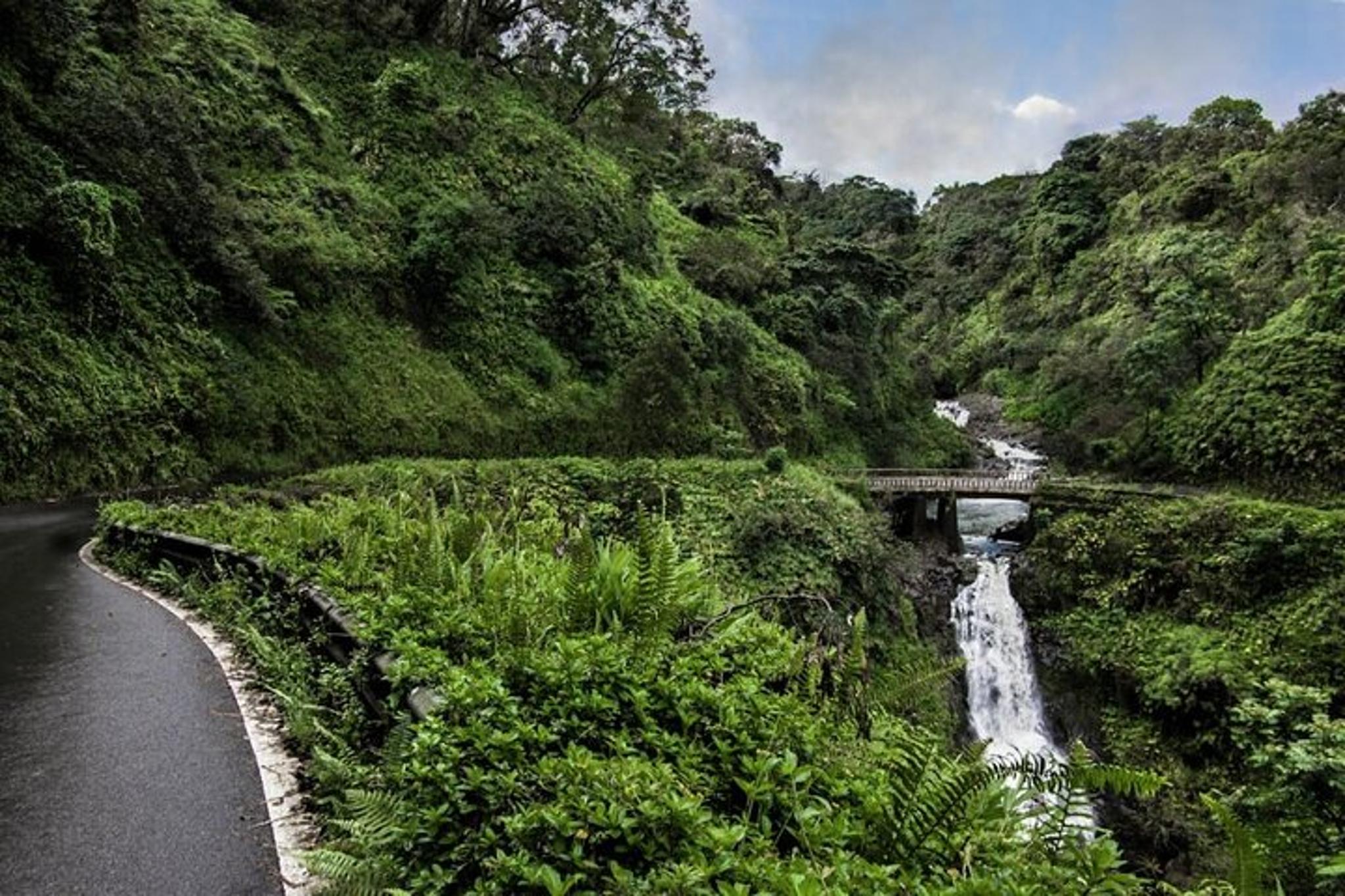Maui Road to Hana Private Tour - Image 4