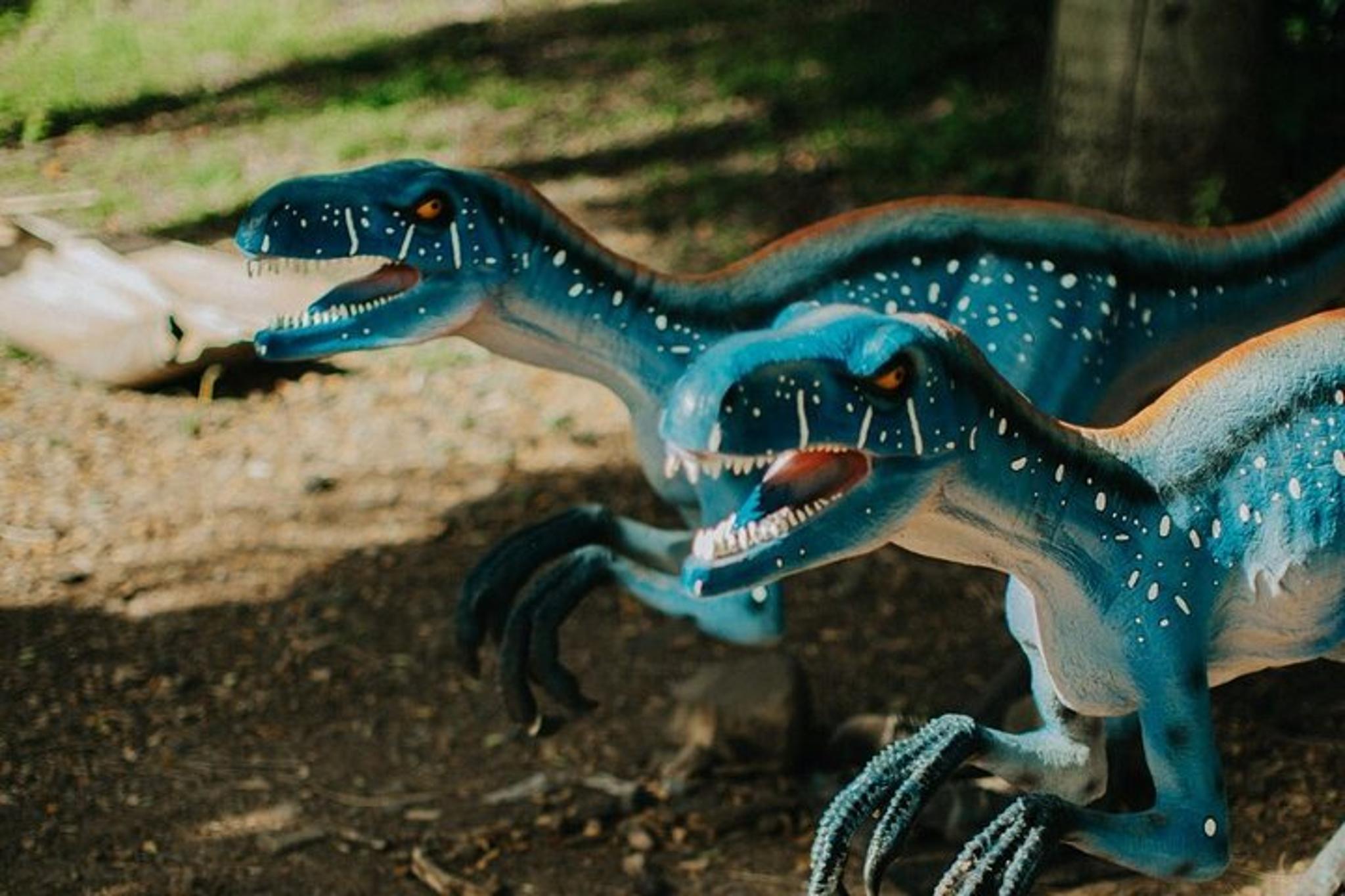 Kaneohe Jungle Expedition Tour - Image 5