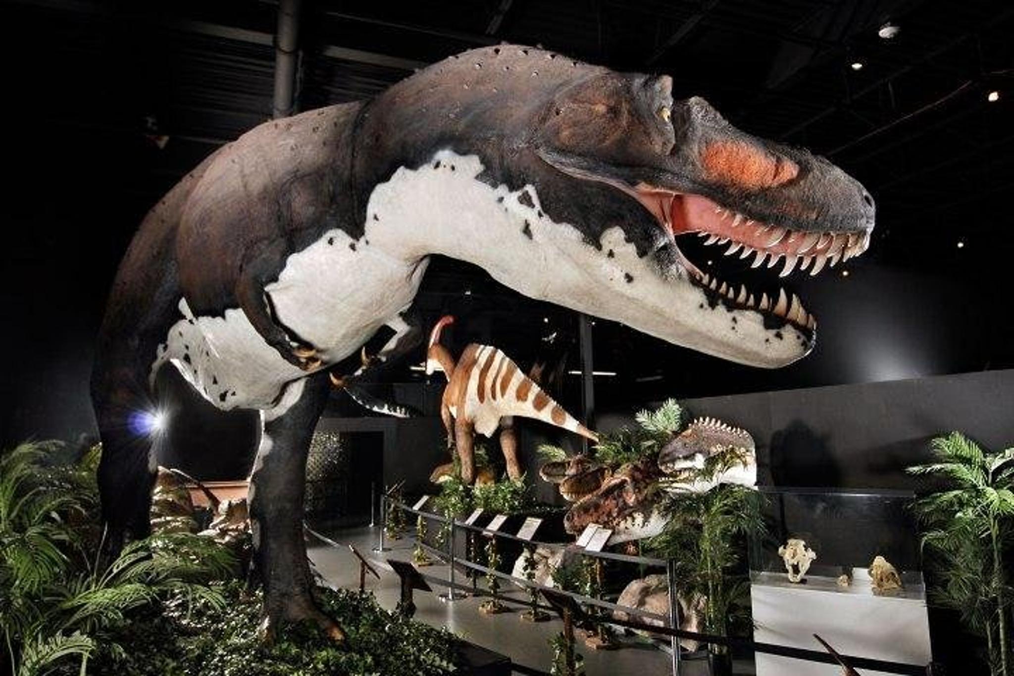 Branson Dinosaur Museum Admission - Image 2