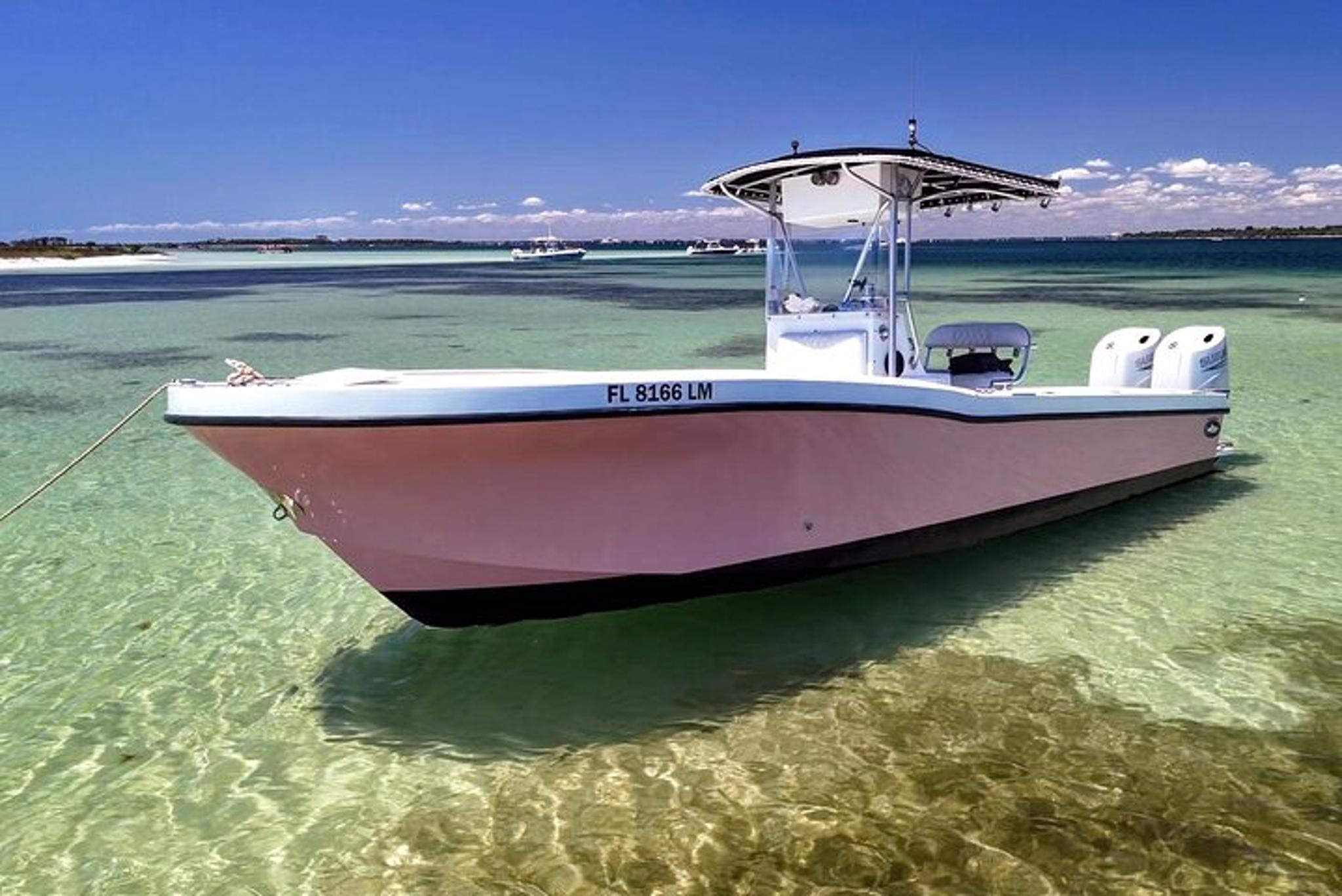 Shell Island Dolphin and Snorkeling Tour 3 hr