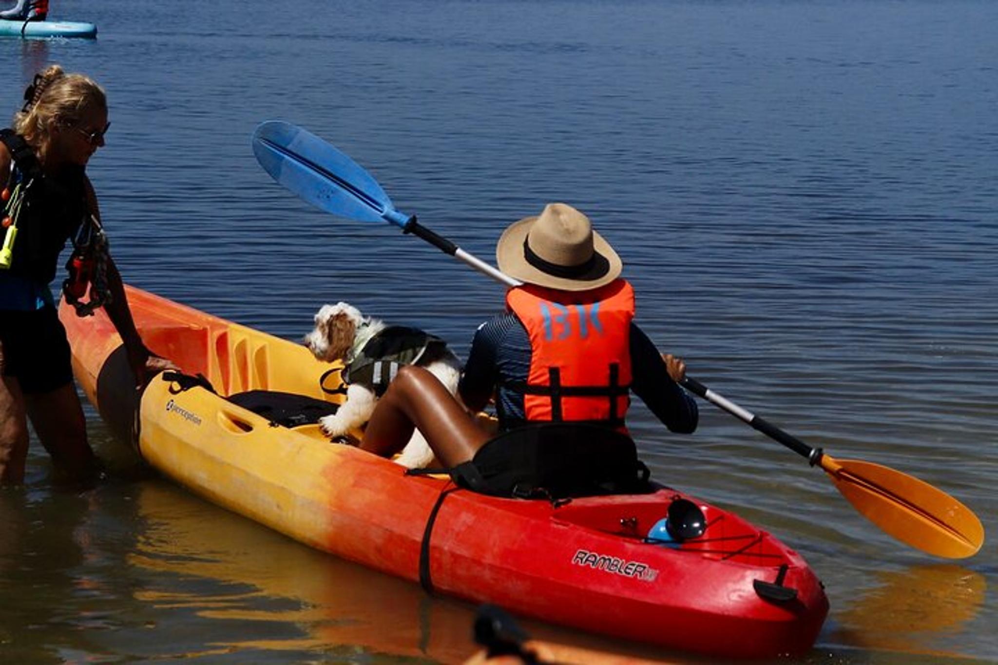 Orlando Dolphin & Manatee Kayaking Tour - Image 3