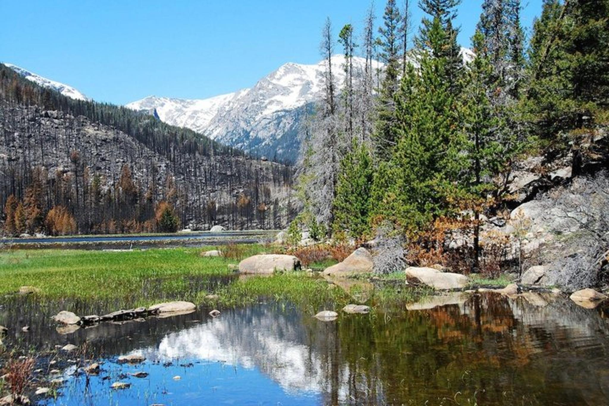 Rocky Mountain National Park Day Tour - Image 5