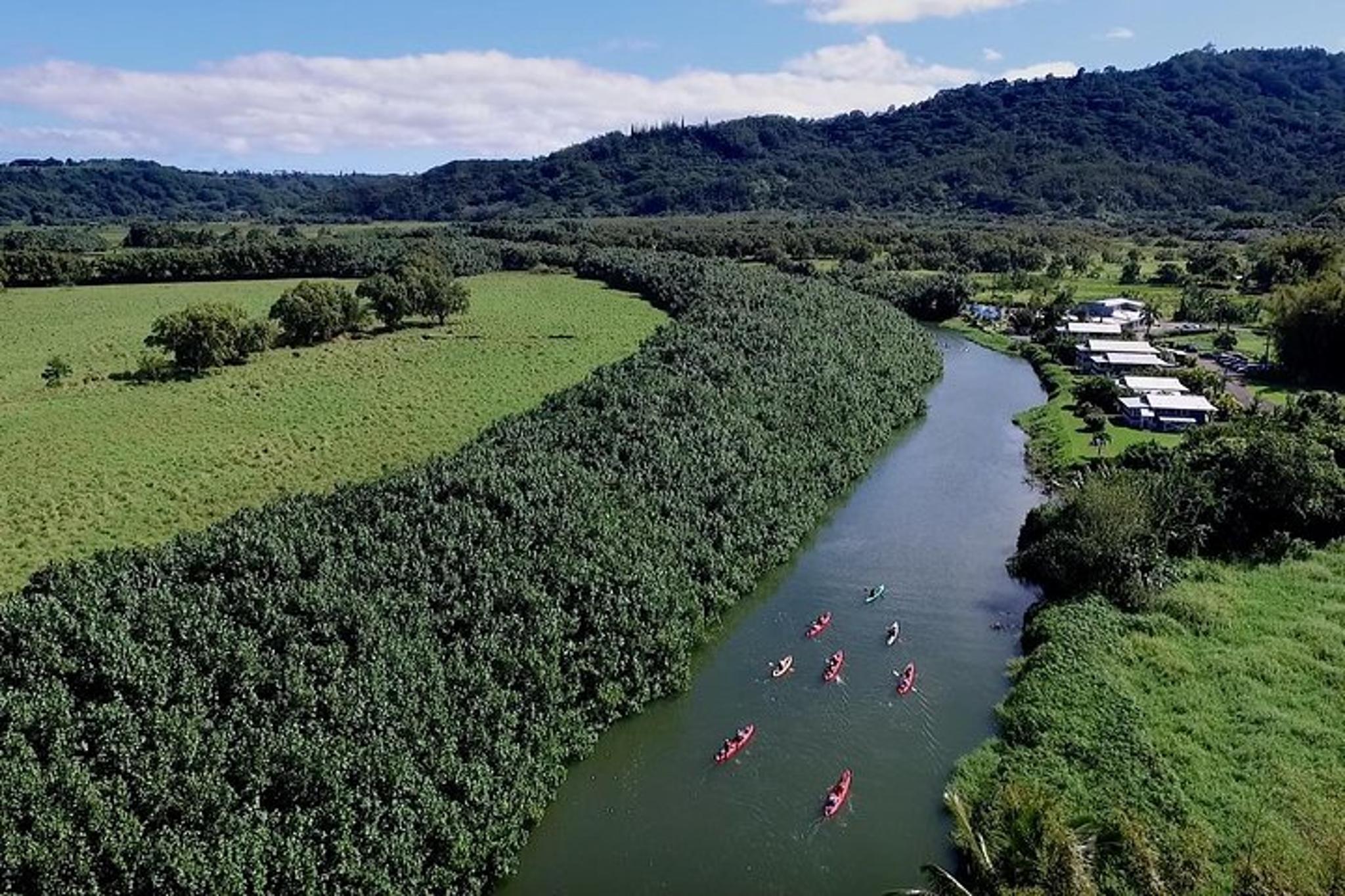 Hanalei Bay Kayak and Snorkel Tour - Image 3