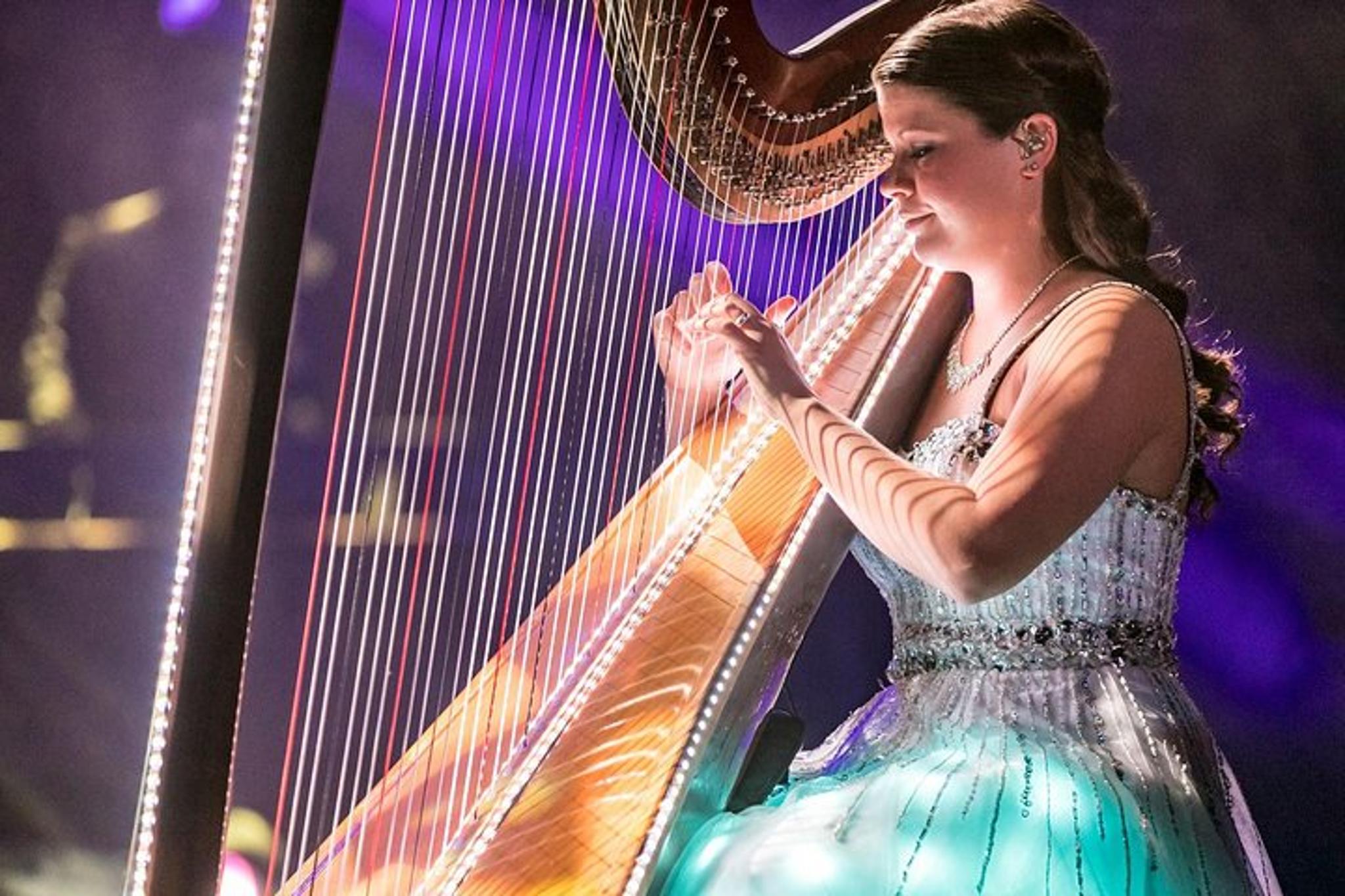 Branson Haygoods Show - Image 5