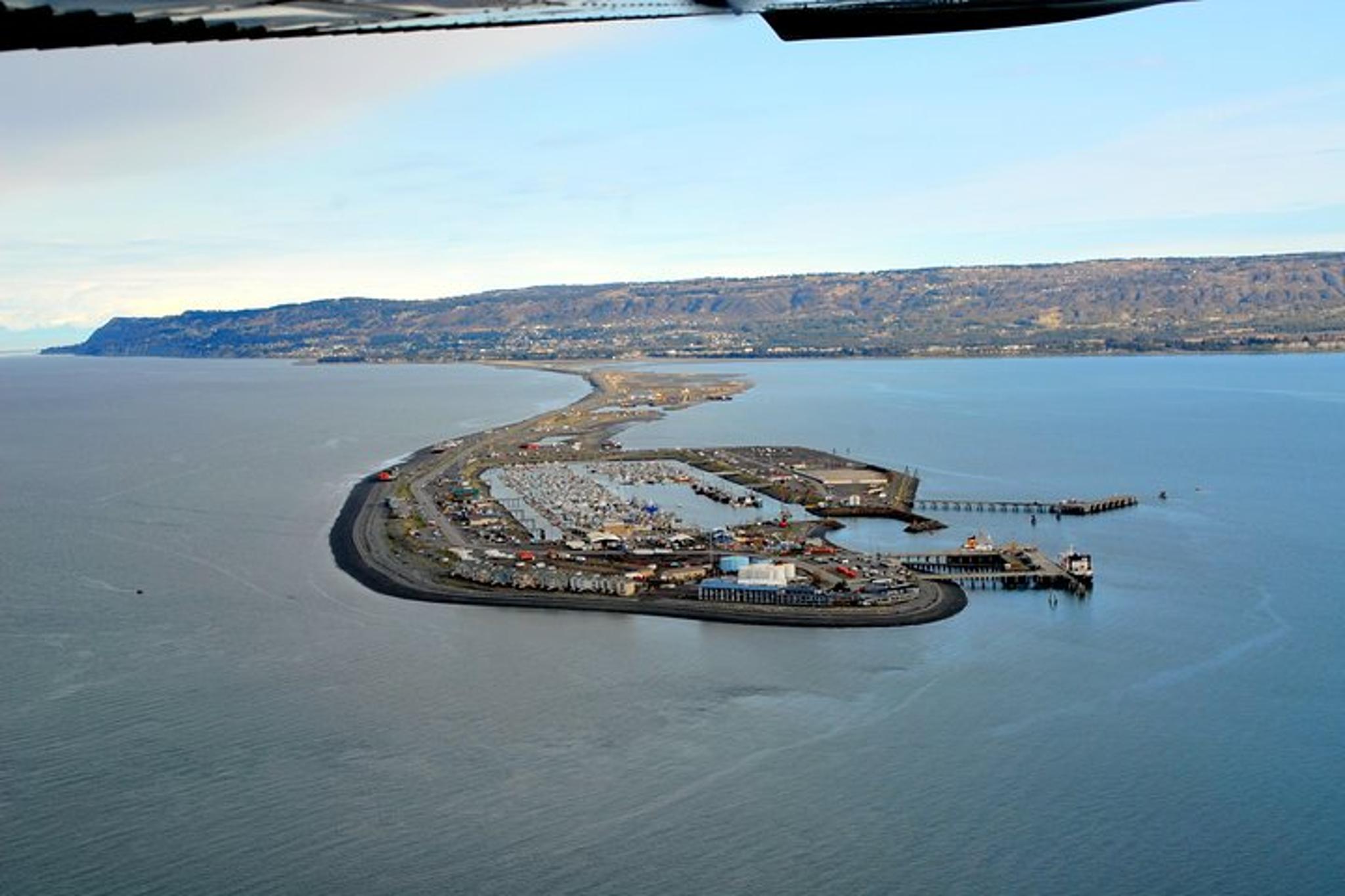 Homer Bear-Viewing Day Trip - Image 5