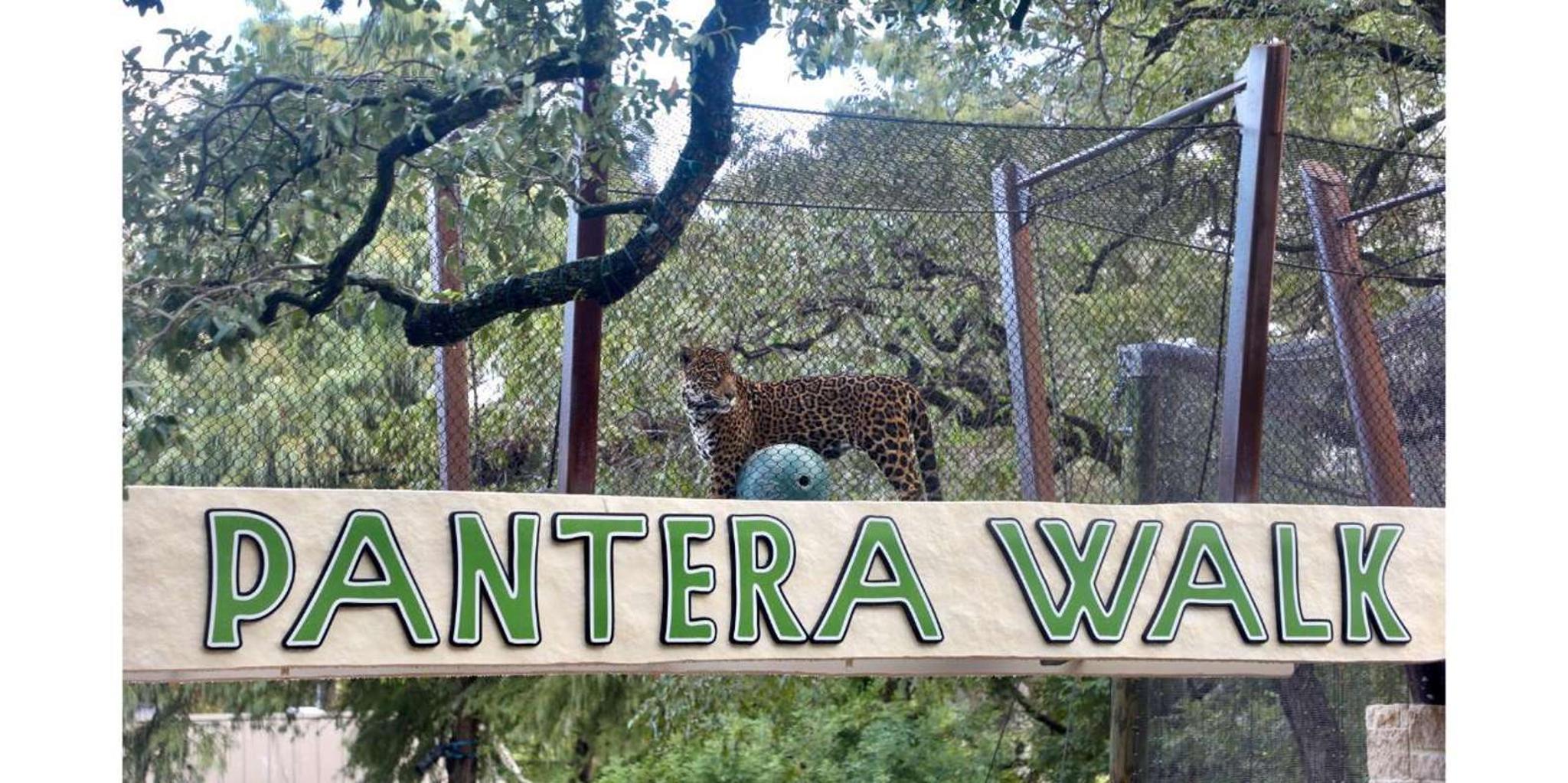 San Antonio Zoo Admission Ticket - Image 4