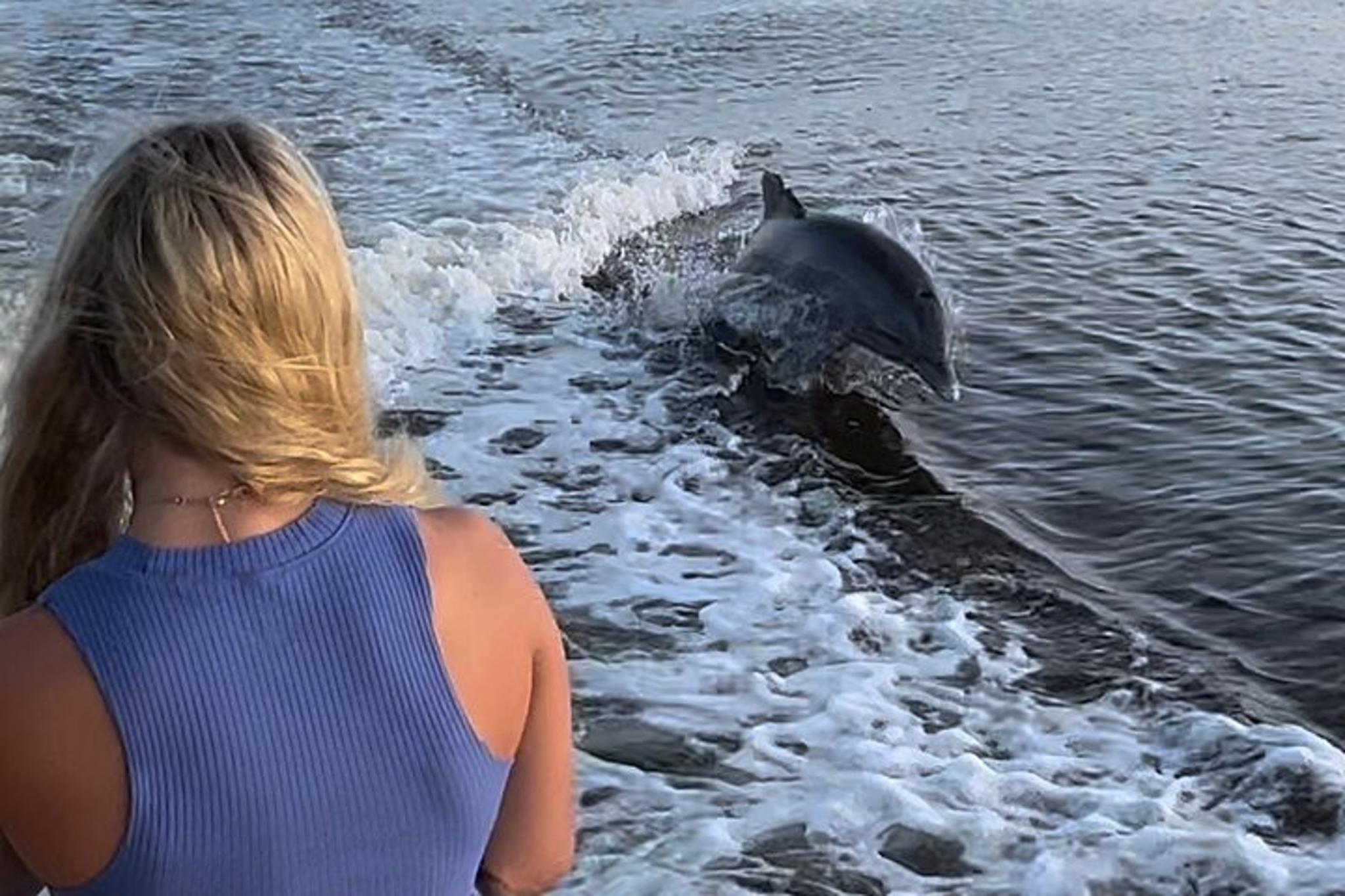 Marco Island Boat Tour - Image 5