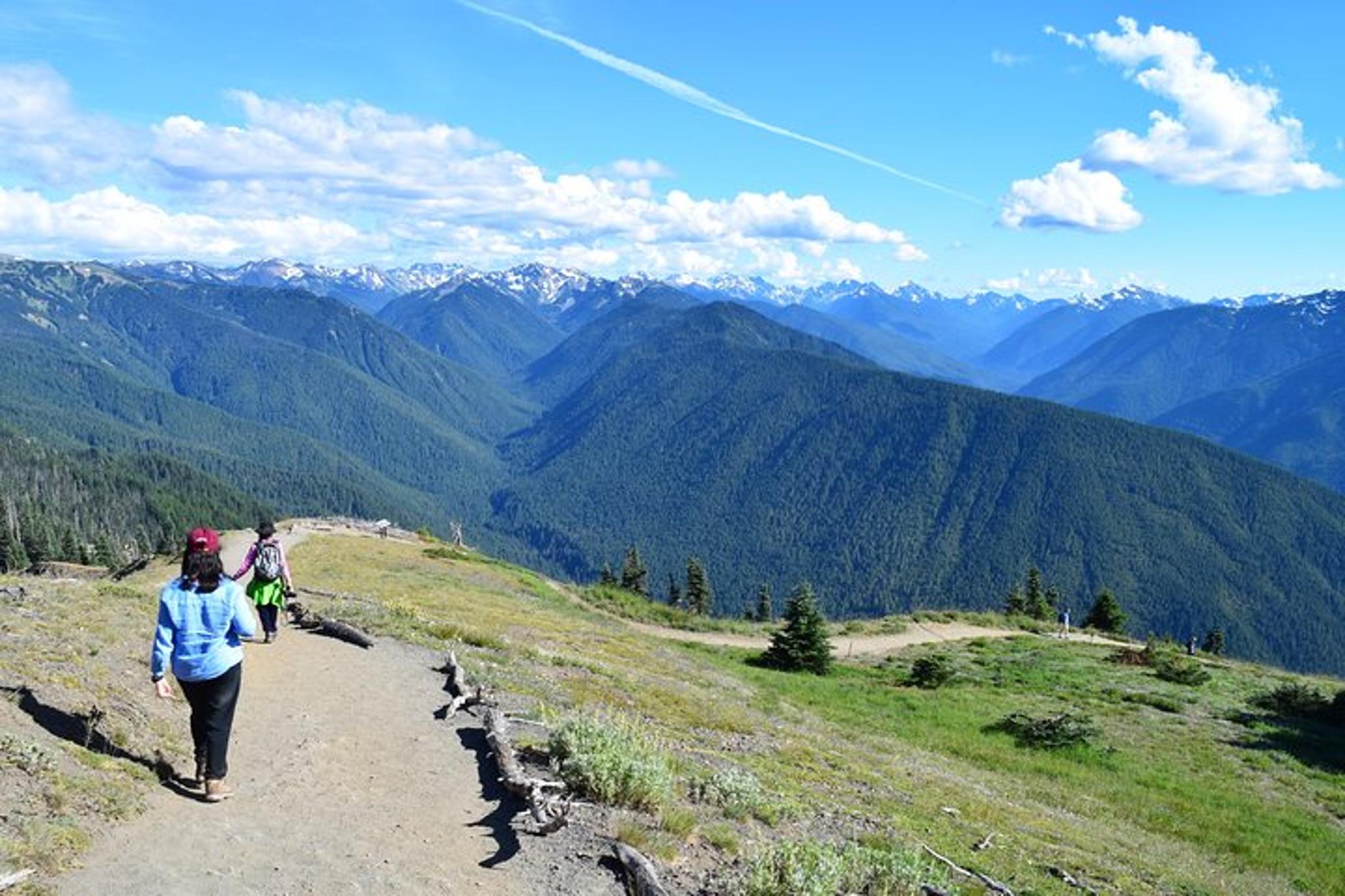 Port Angeles Guided Tour of Olympic National Park