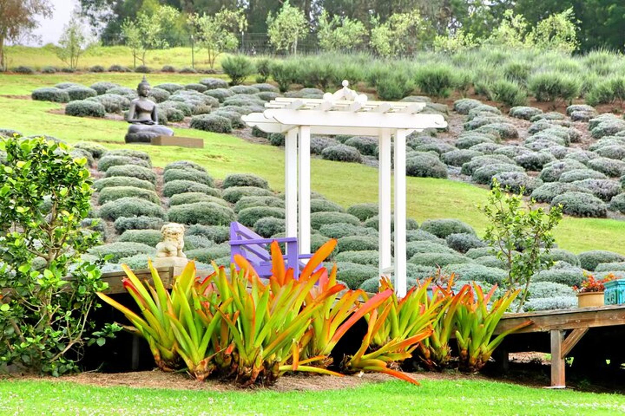 Maui Private Upcountry Tour - Image 5