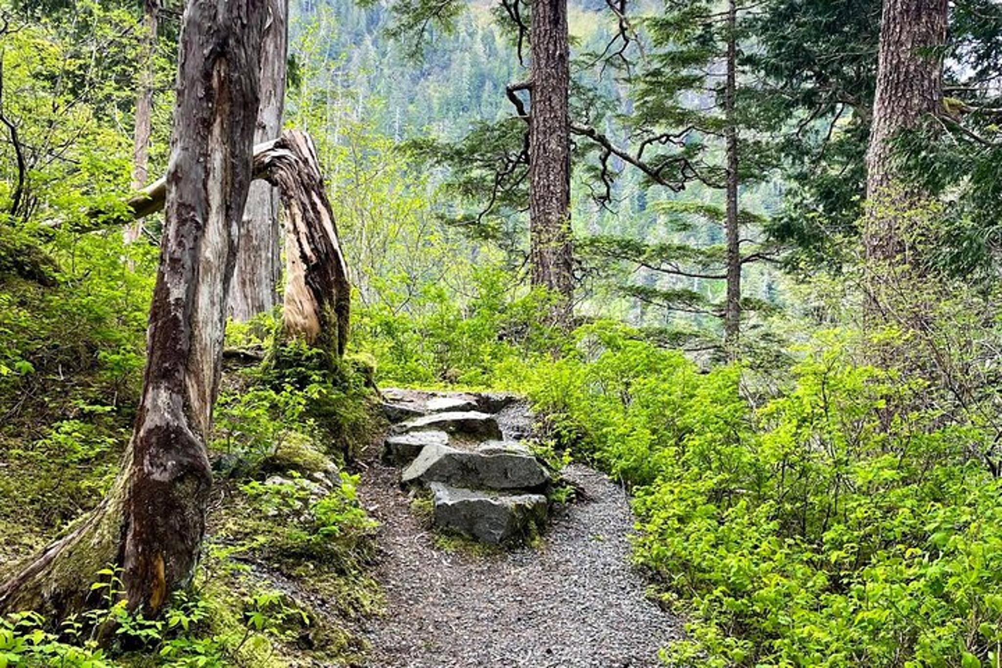 Sitka Guided Hike to Beaver Lake - Image 5