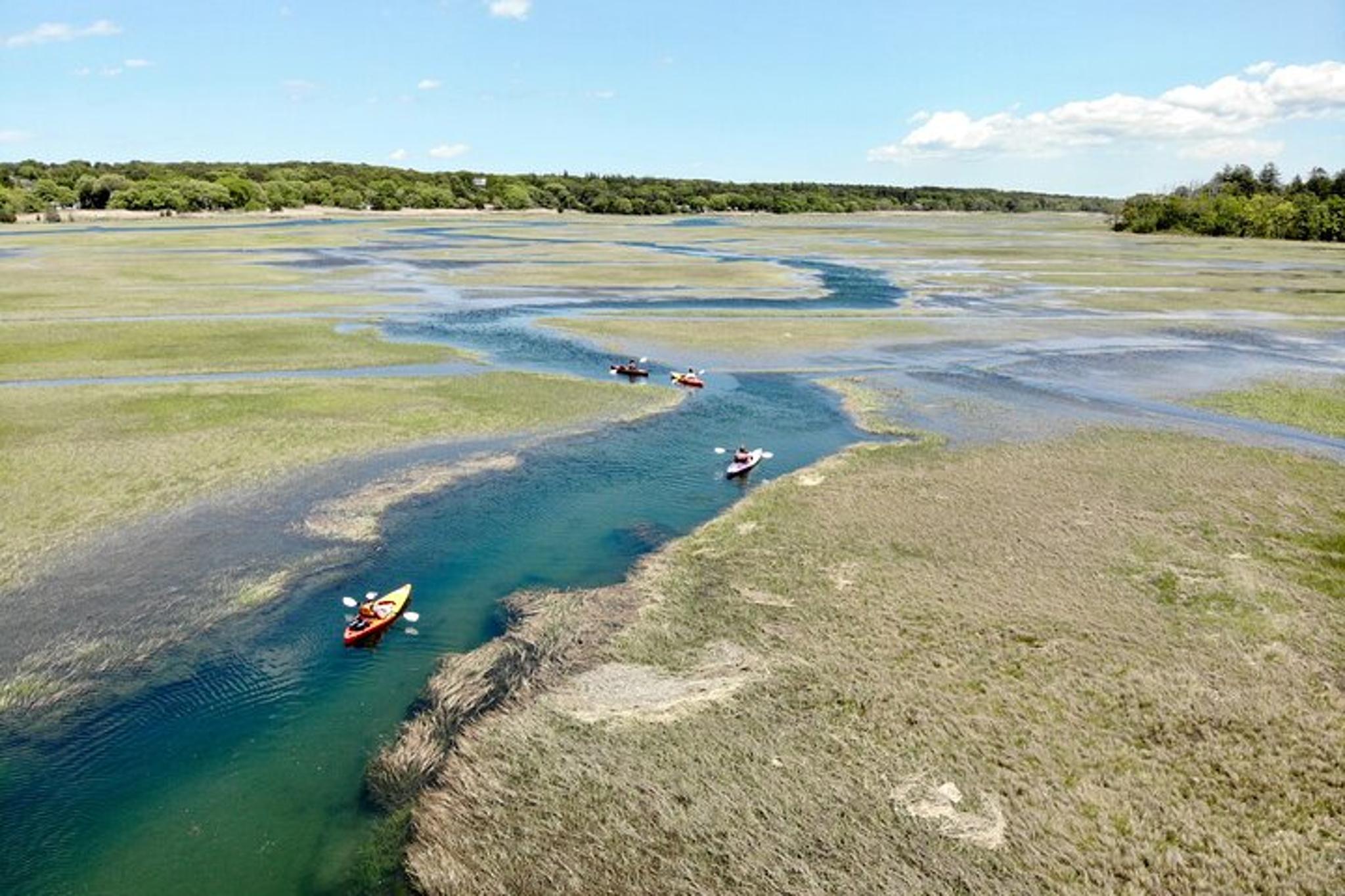Cape Cod Kayak Tour in the Great Marsh - Image 6