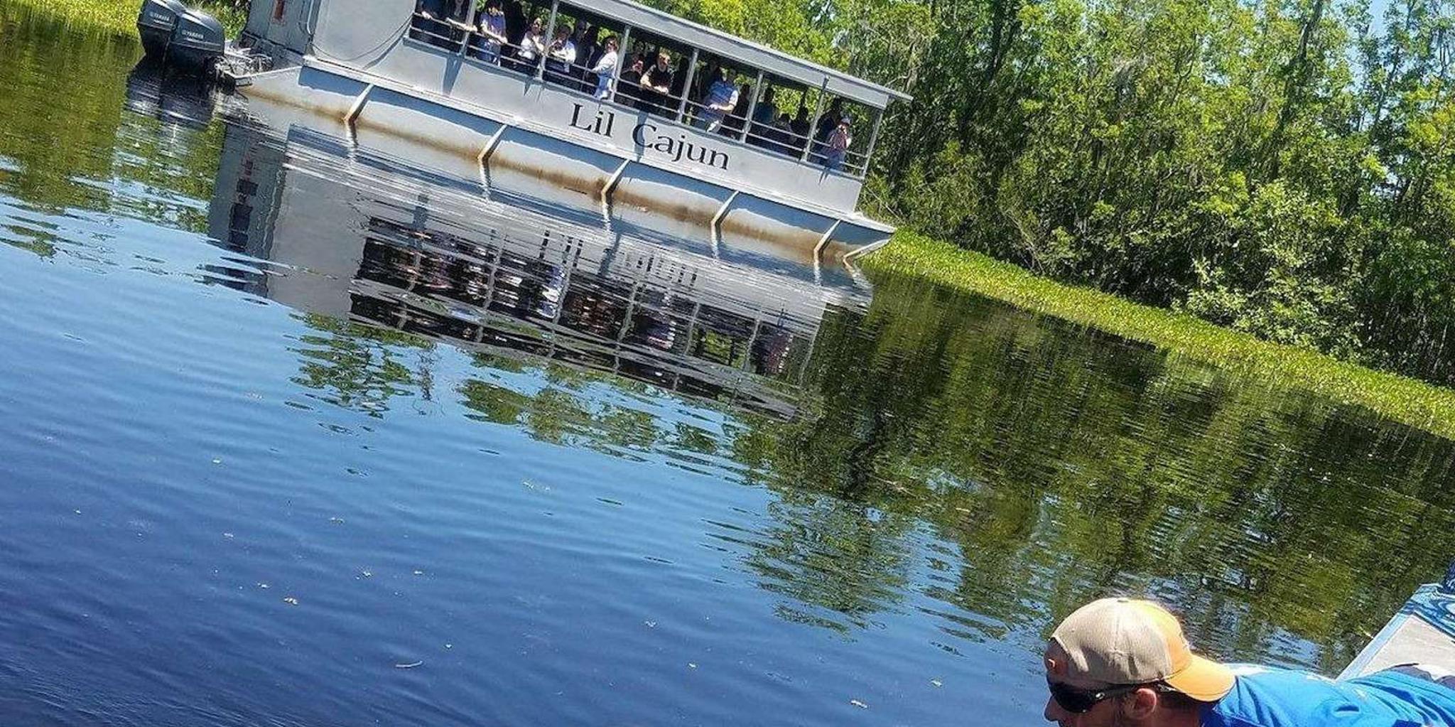 New Orleans Pontoon Swamp Tour with Wildlife Viewing