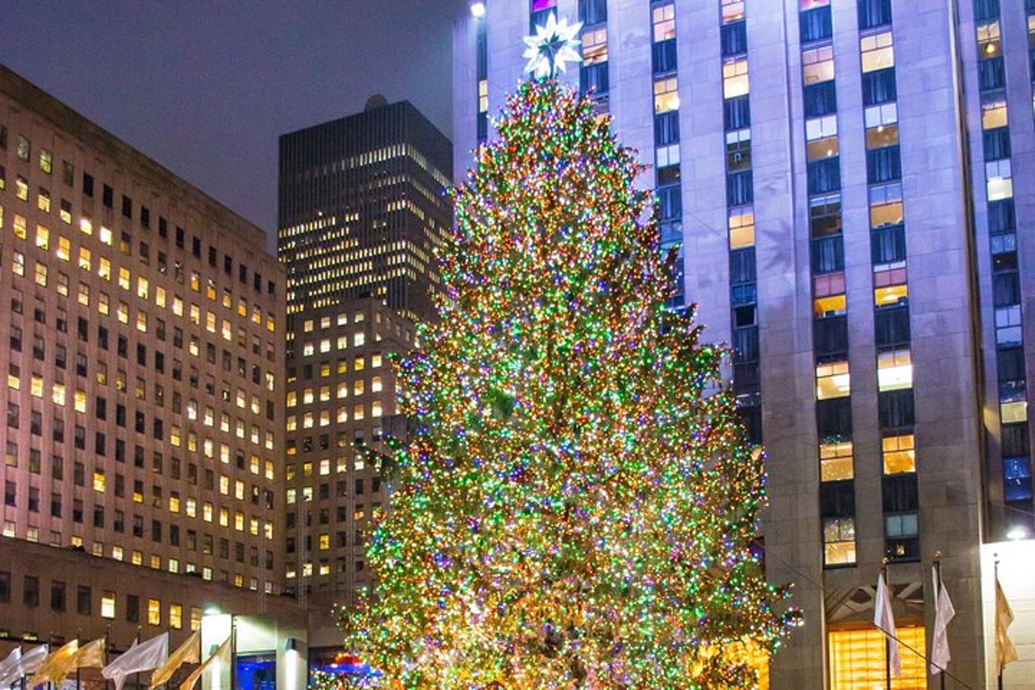 New York Christmas Tour with Driver and Guide - Image 5