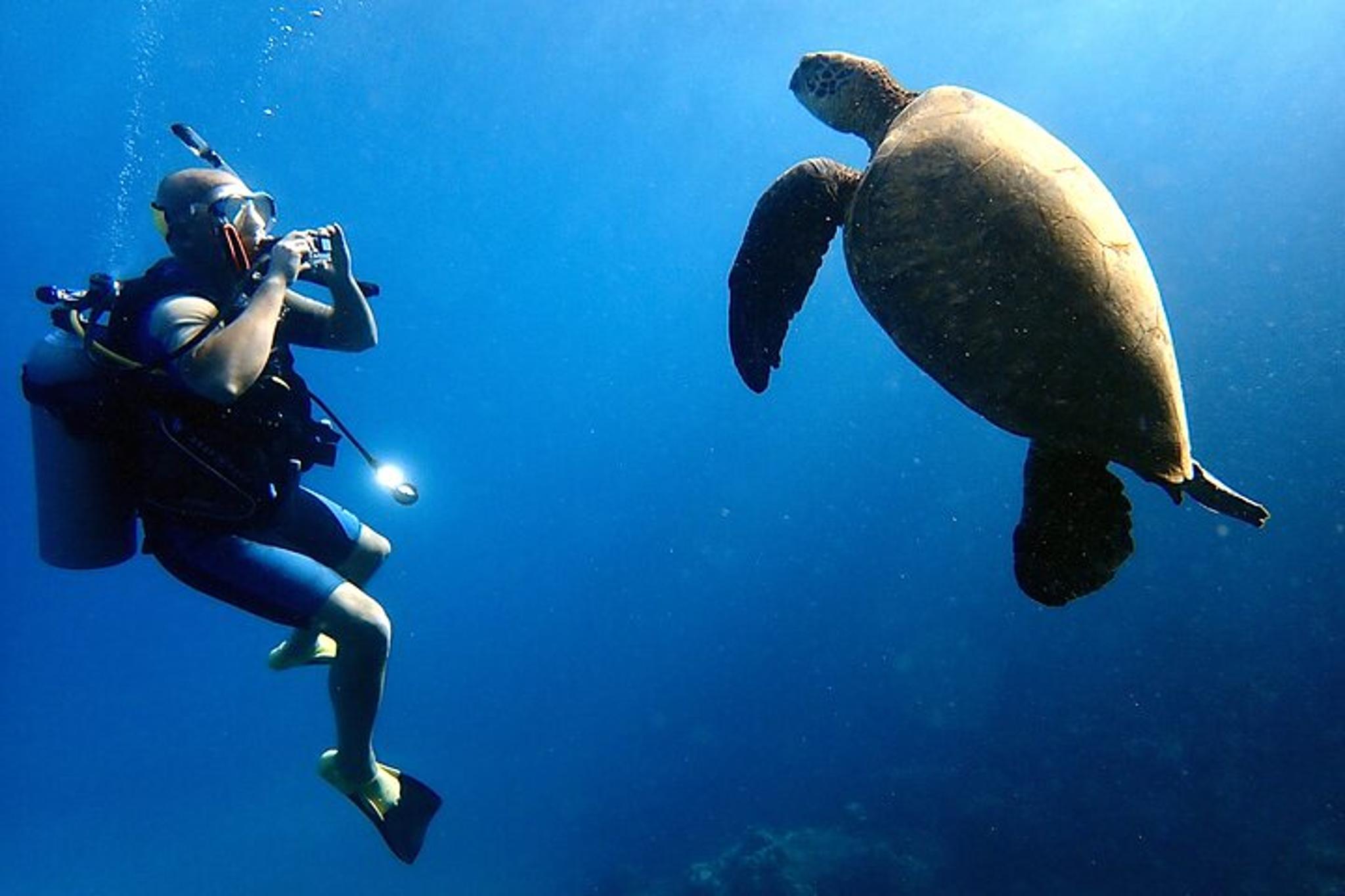 Maui Scuba Diving Adventure 3 hr - Image 2