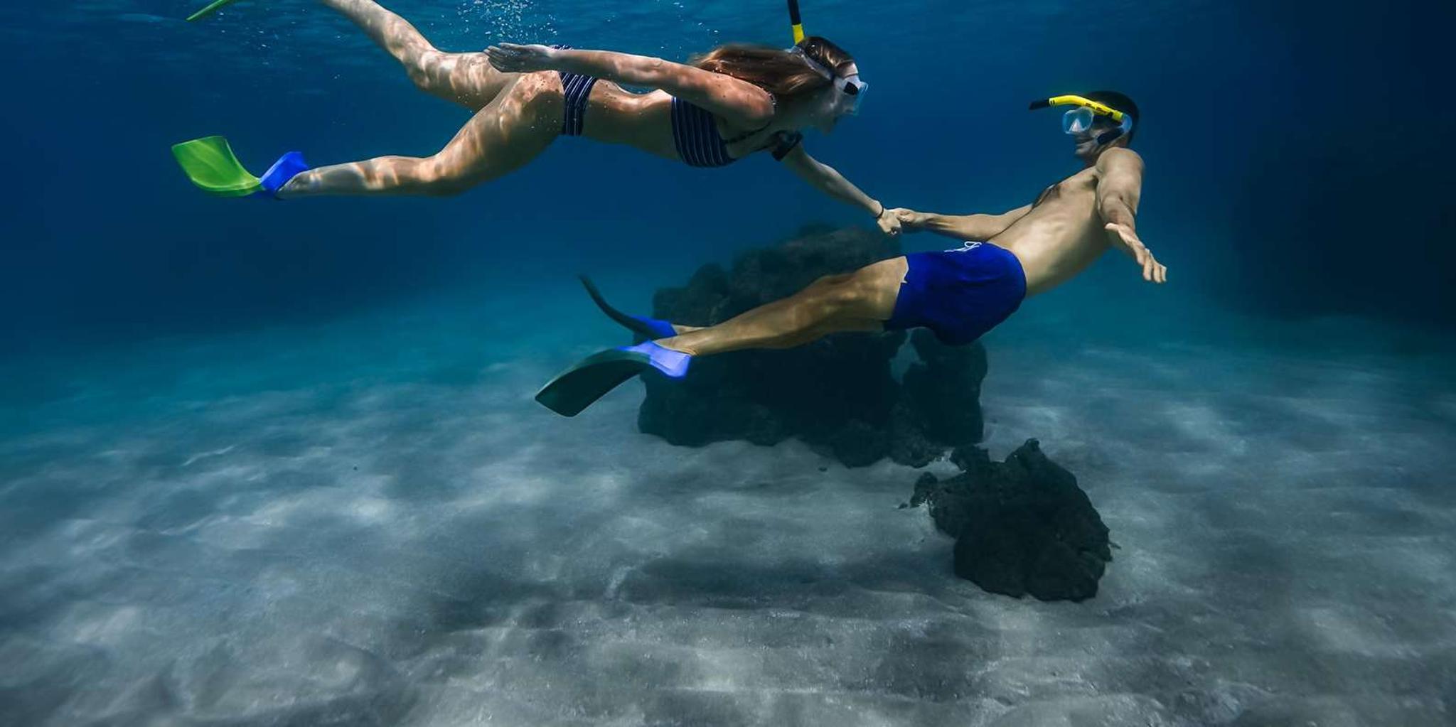 Maui Snorkel and Kayak Tour at Turtle Town - Image 2