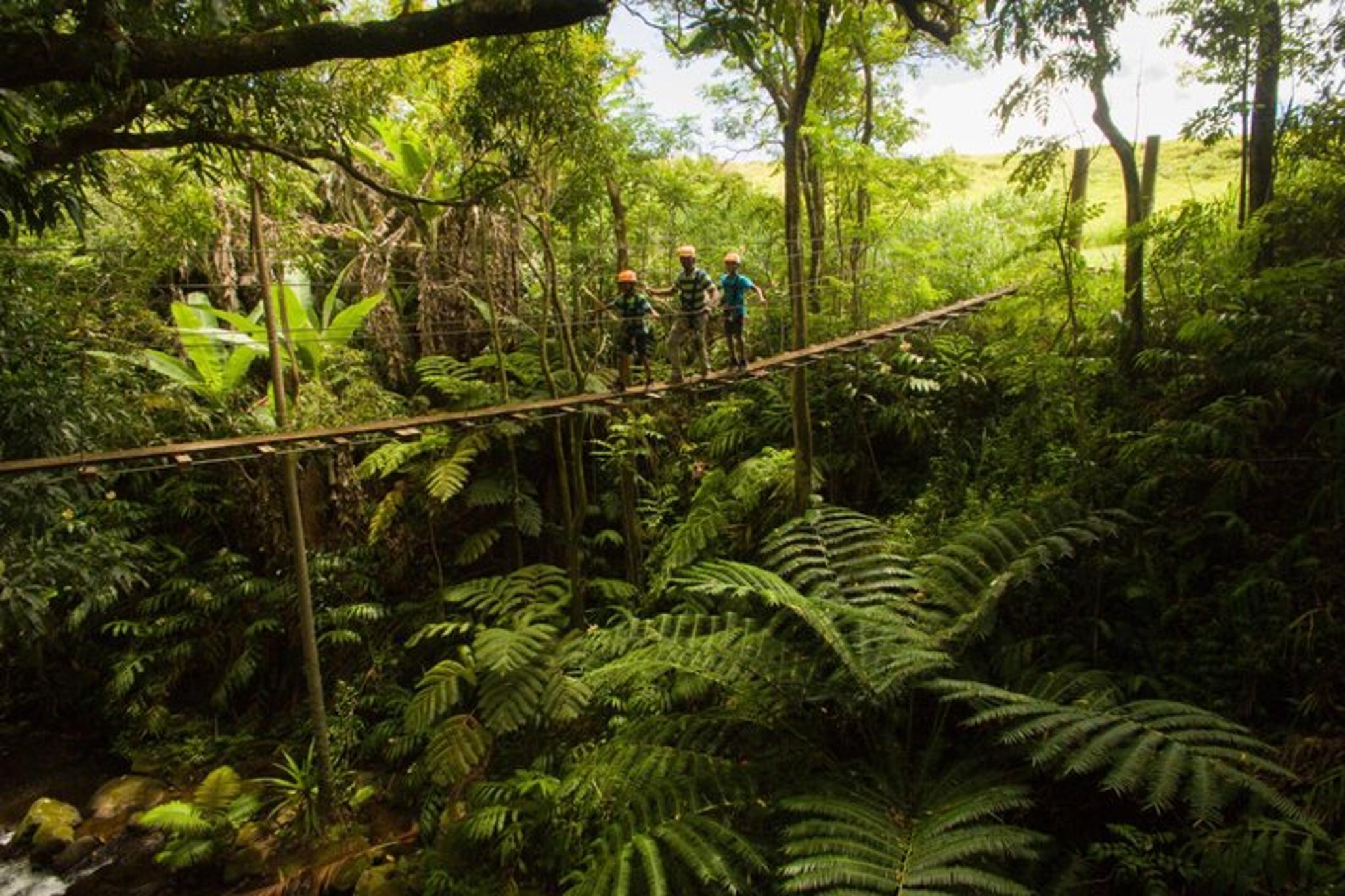 Big Island Zipline Adventure with Waterfall - Image 5