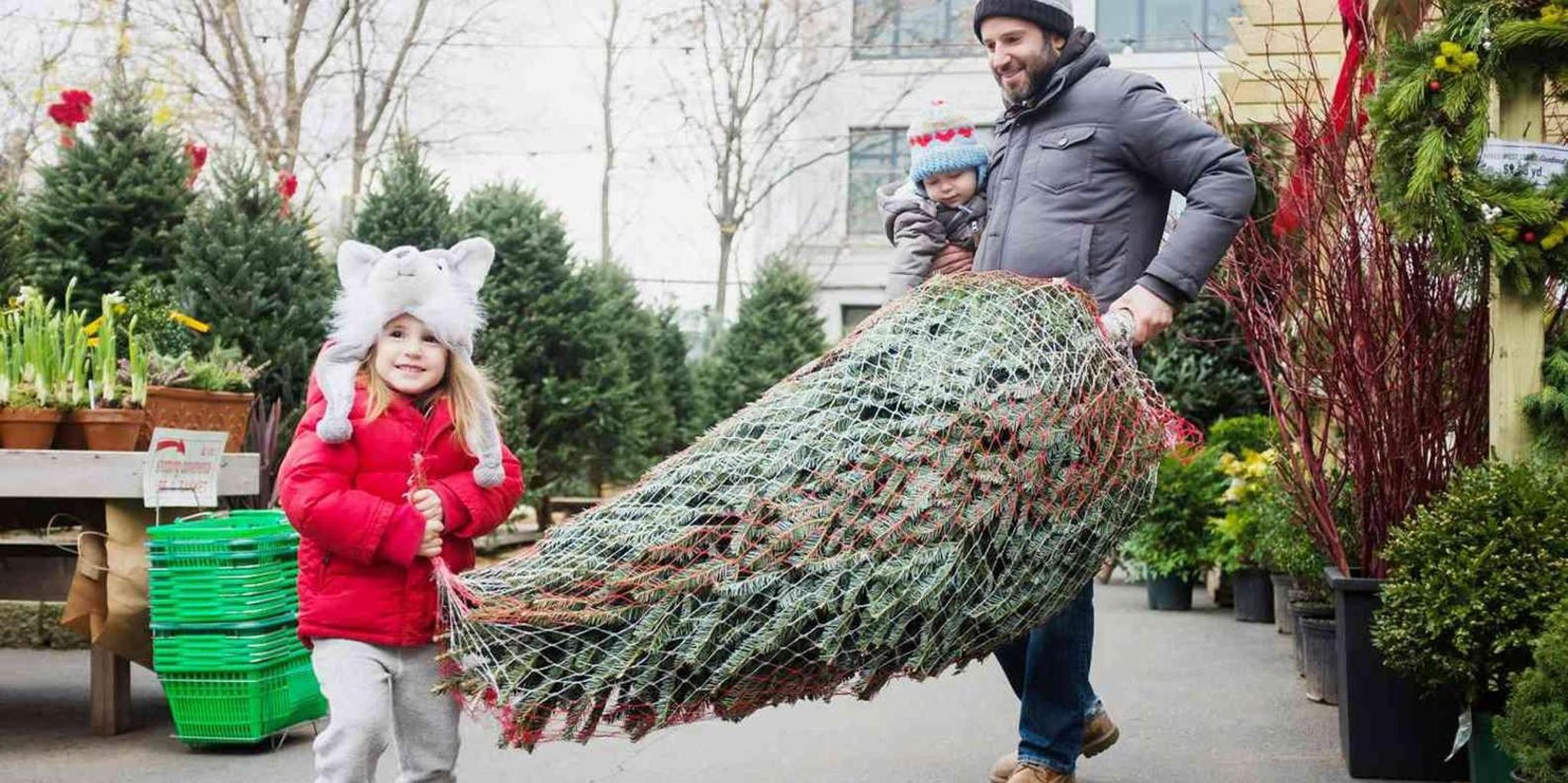 New York City Christmas Tour