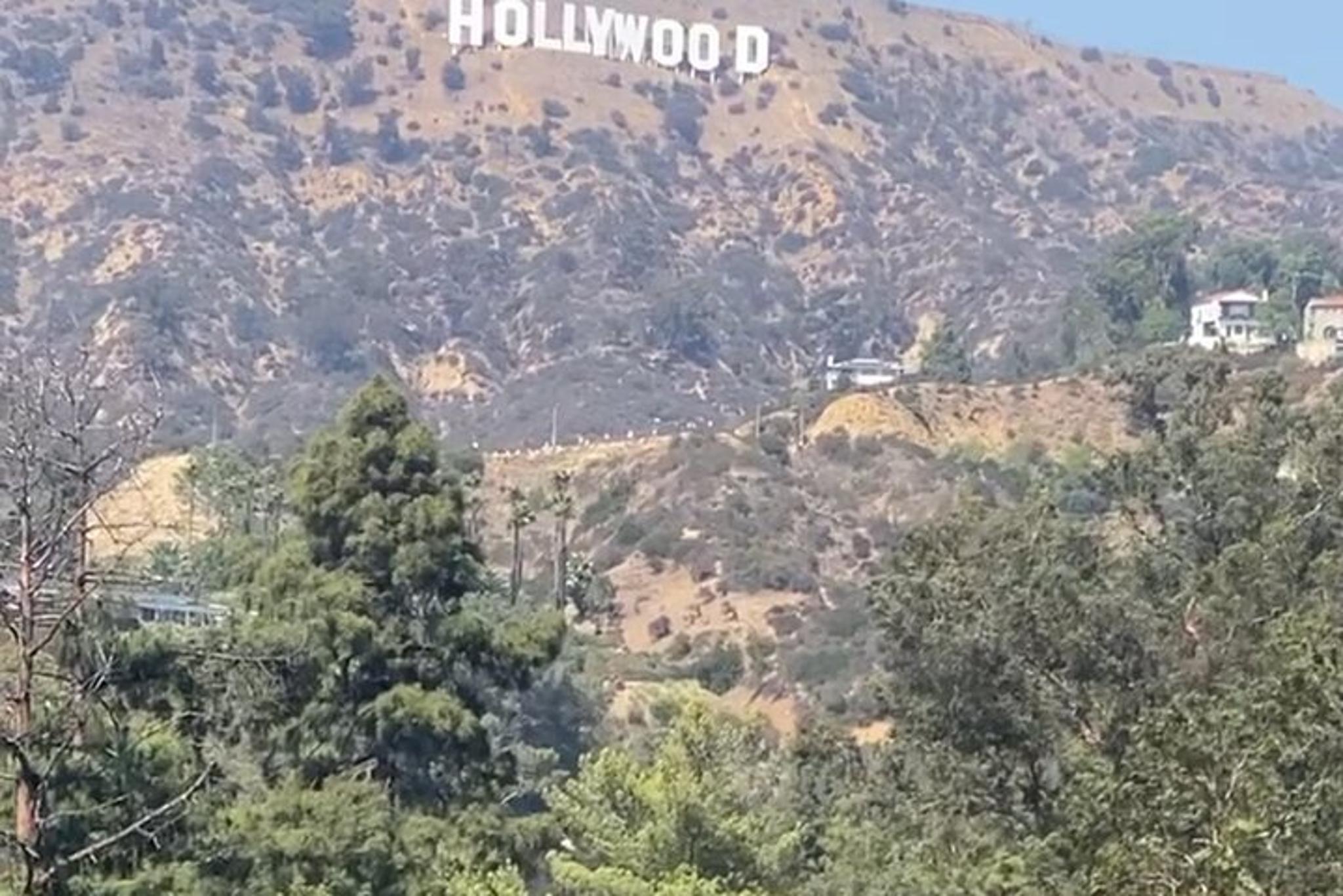 Los Angeles Griffith Observatory and Hollywood Walk Tour - Image 3