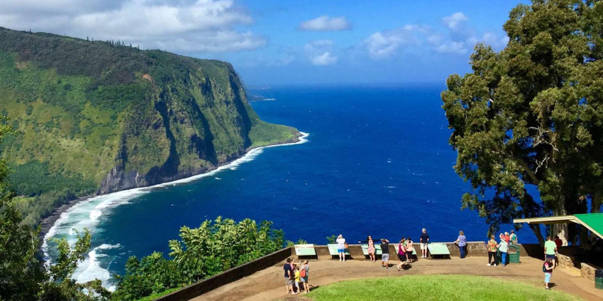 Big Island Volcanoes and Waterfalls Day Tour - Image 5