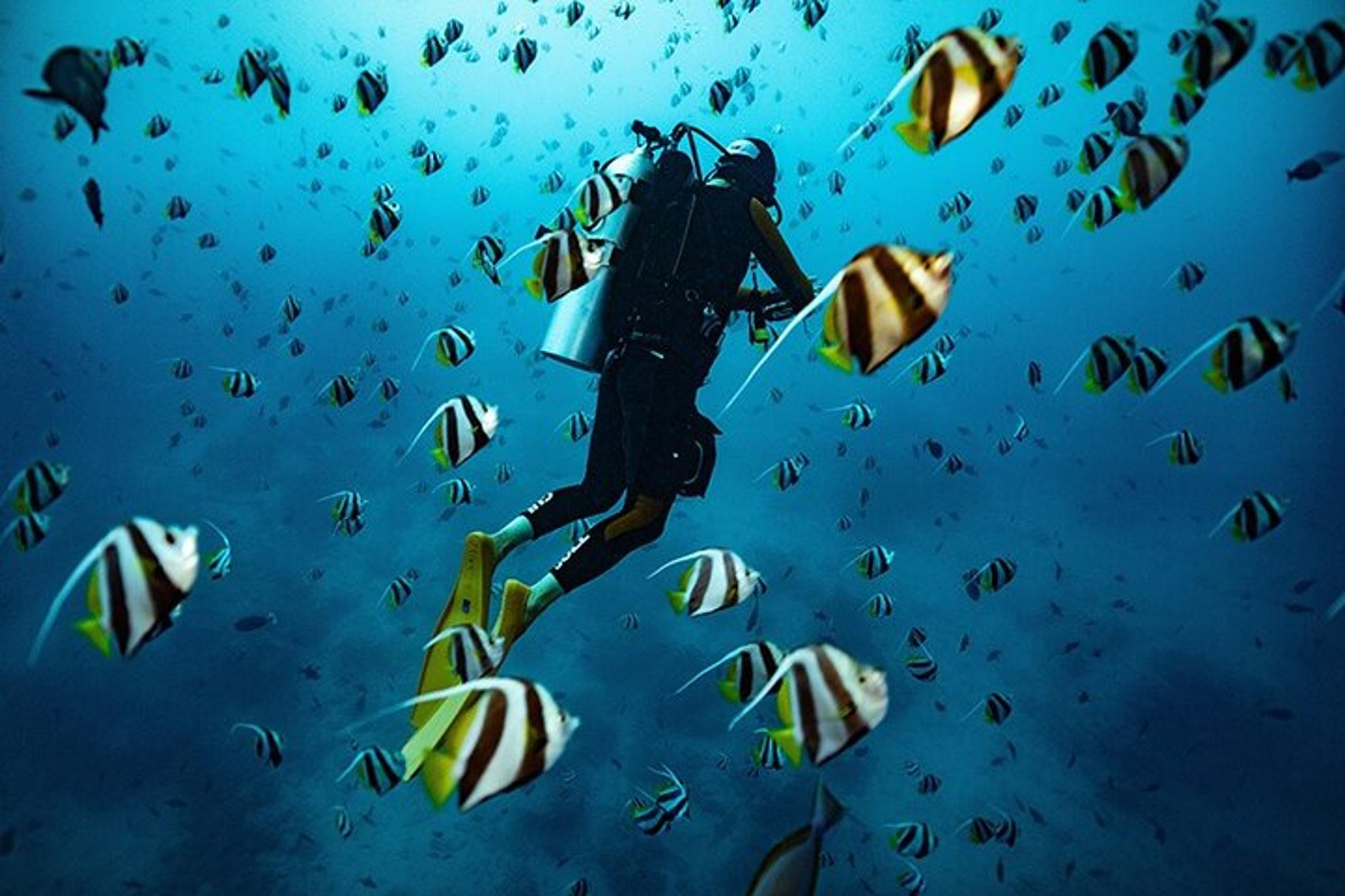 Kauai Scuba Diving for Beginners
