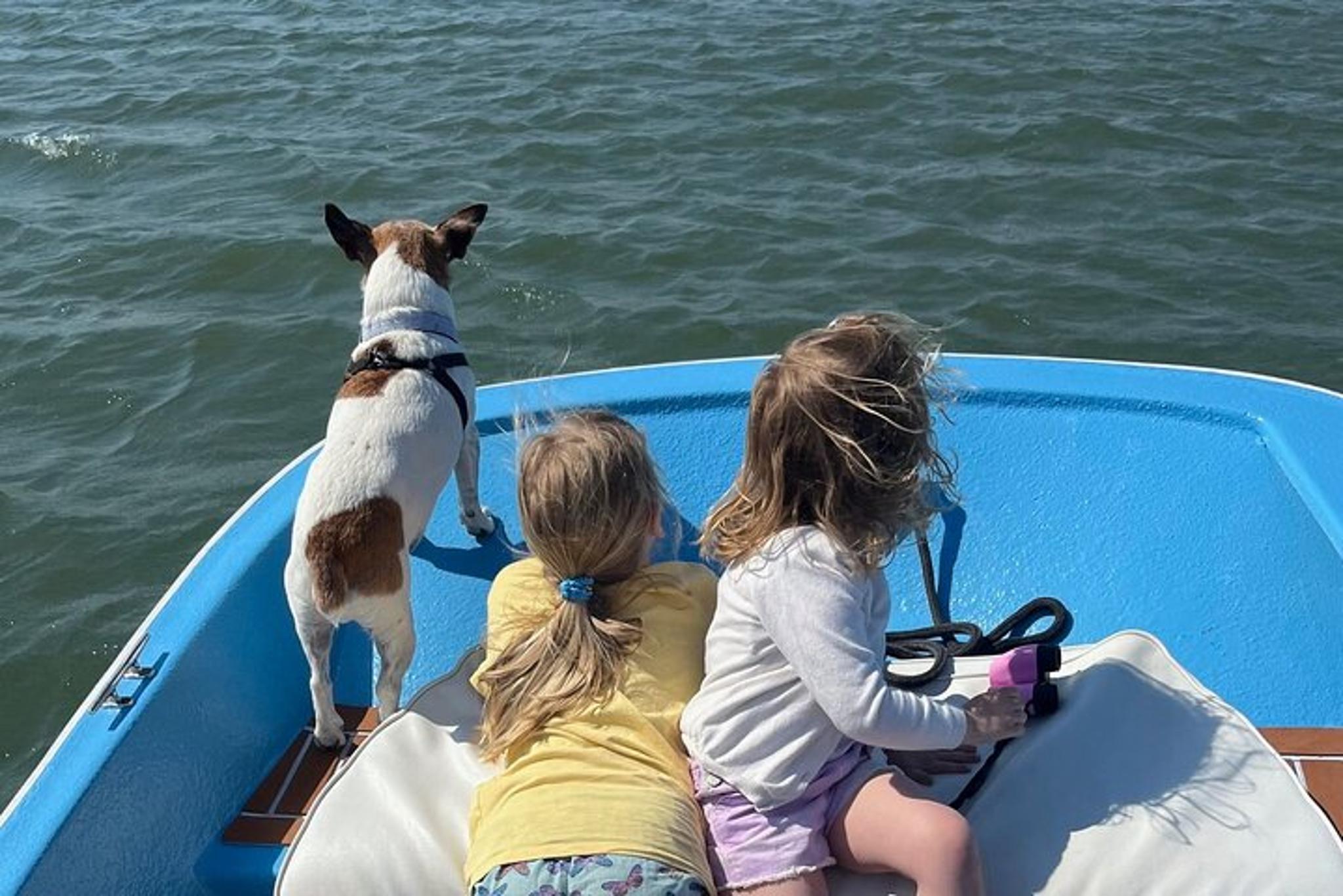 Charleston Dolphin Cruise and Shelling Trip - Image 6