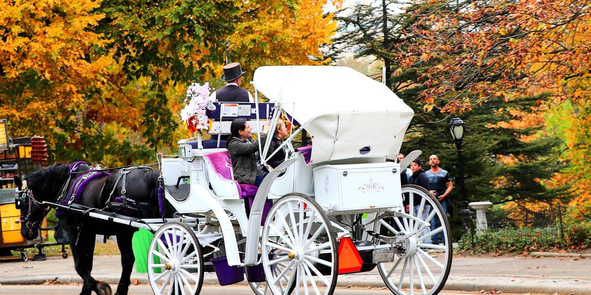 New York Central Park Horse Carriage Ride 20 Min - Image 3