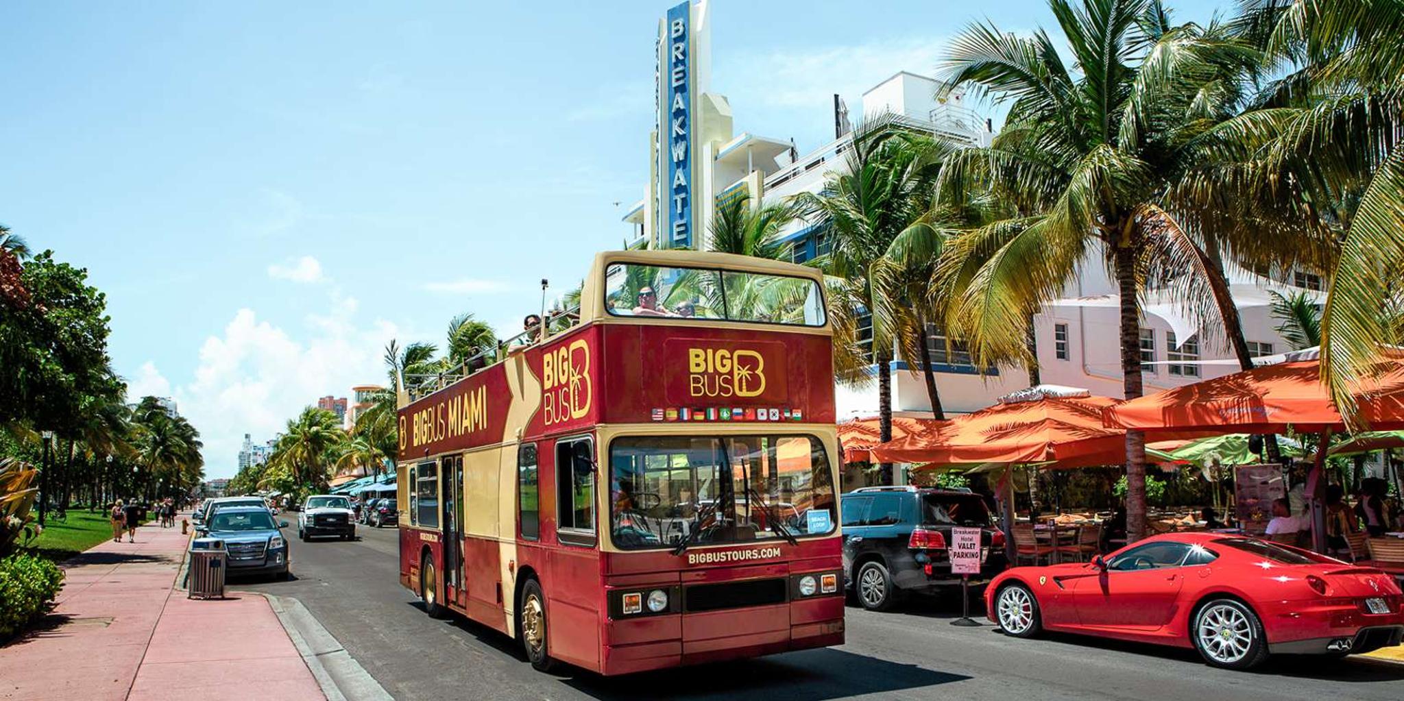 Miami Hop-on Hop-off Sightseeing Tour with Cruise Option - Image 5