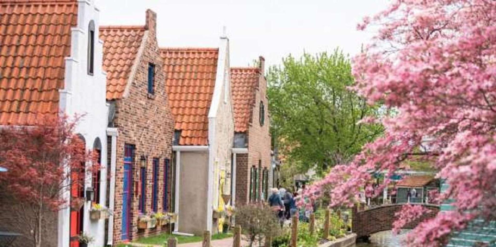 Chicago Windmill Island Day Tour - Image 2