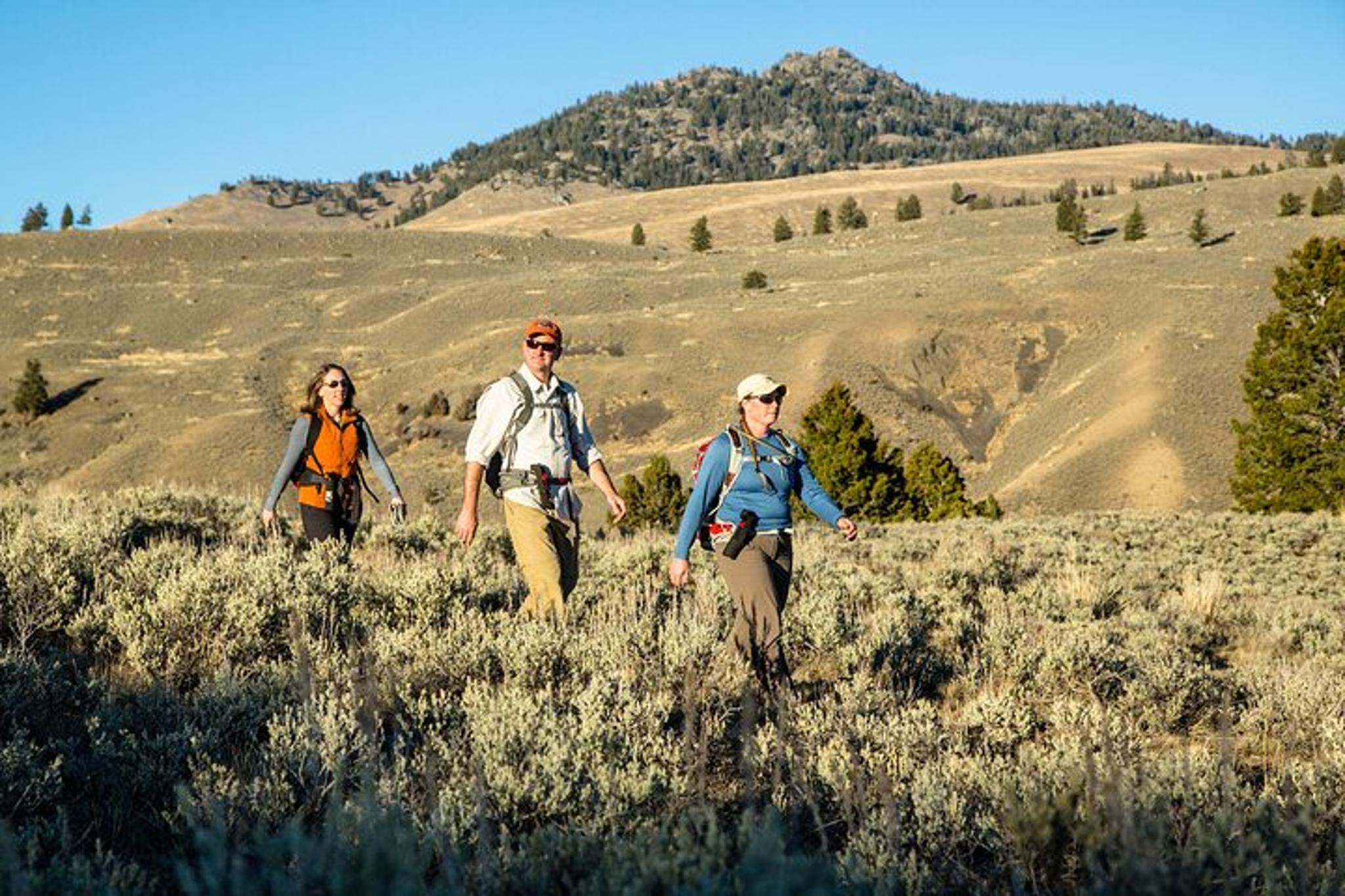 Yellowstone Garnet Hill Loop Naturalist Hike - Image 3