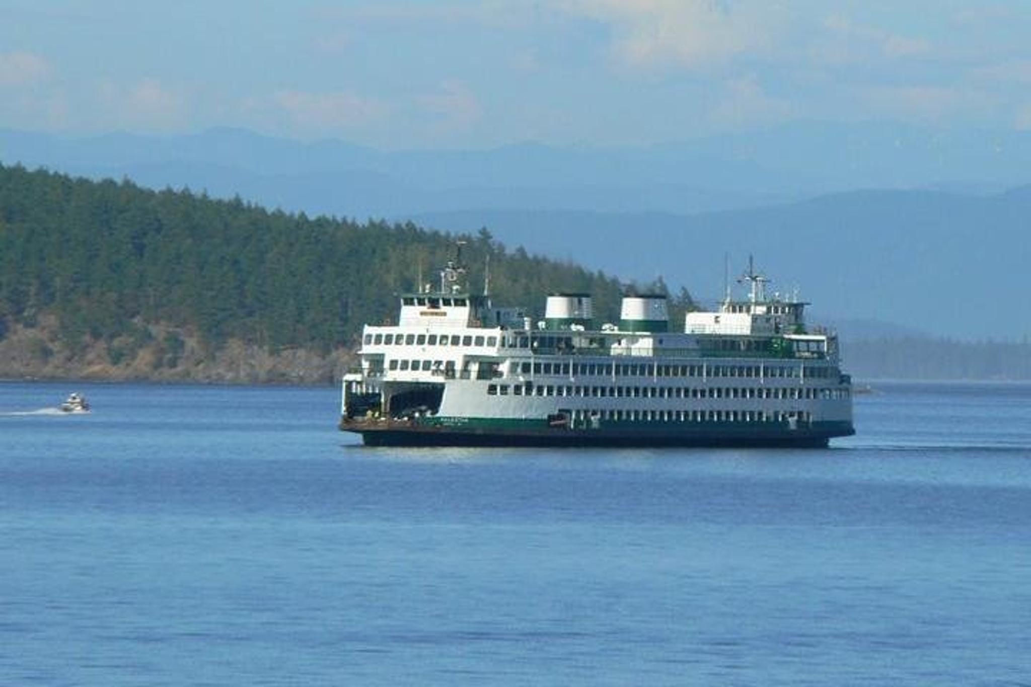 San Juan Island Kayak Tour - Image 4