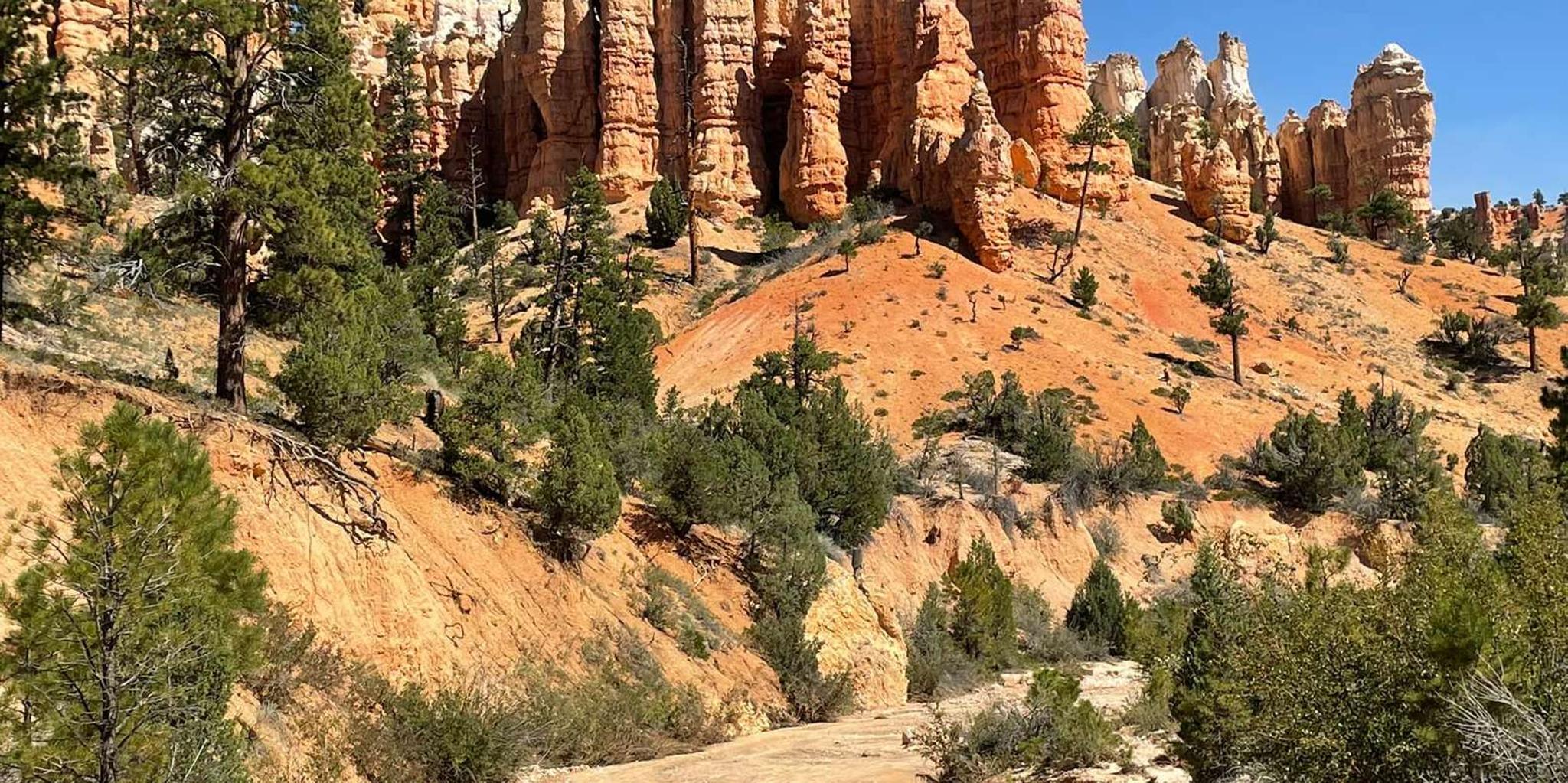 Las Vegas Bryce Canyon & Zion Day Trip - Image 3