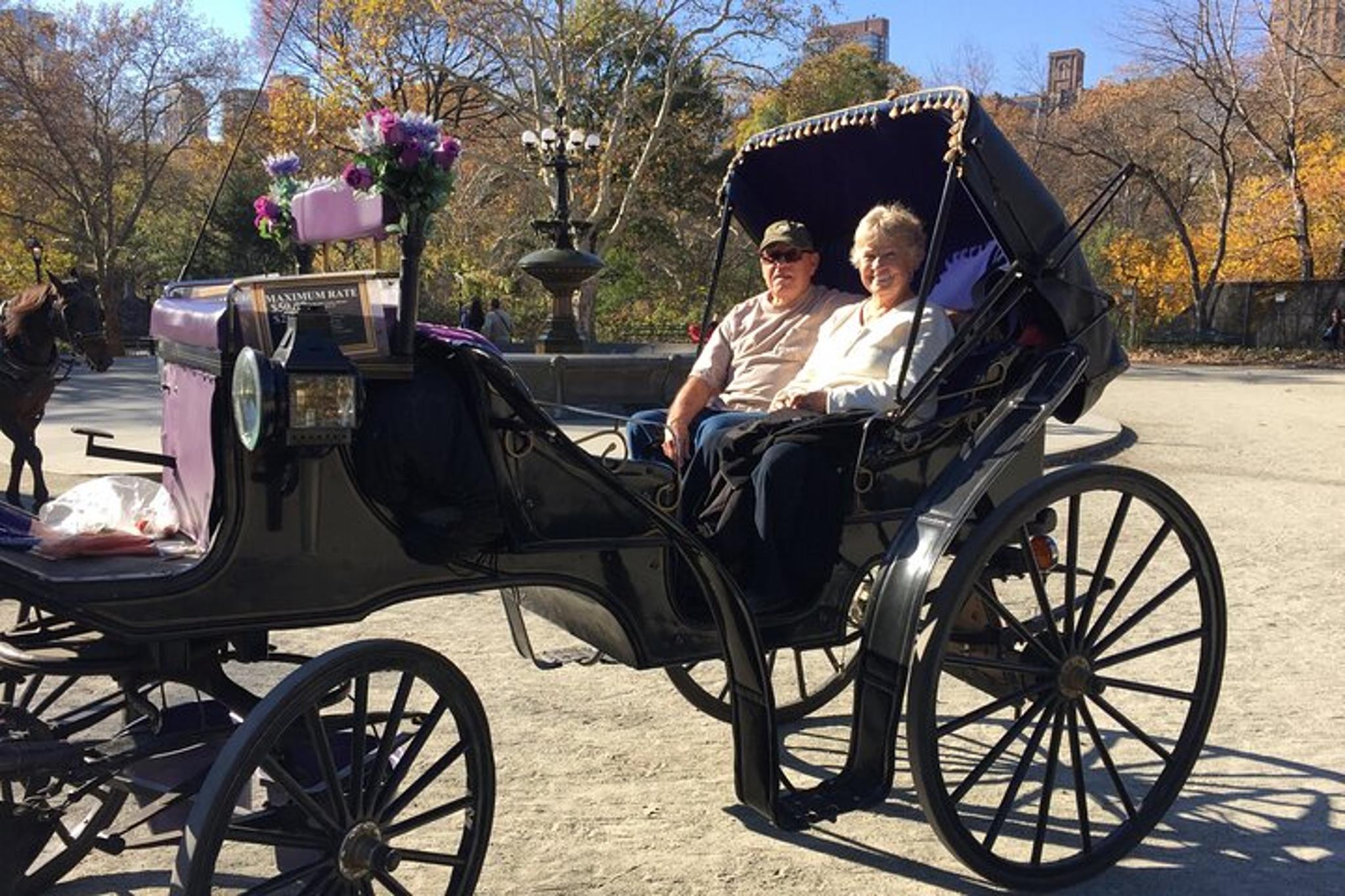 New York City Central Park Horse and Carriage Ride - Image 3