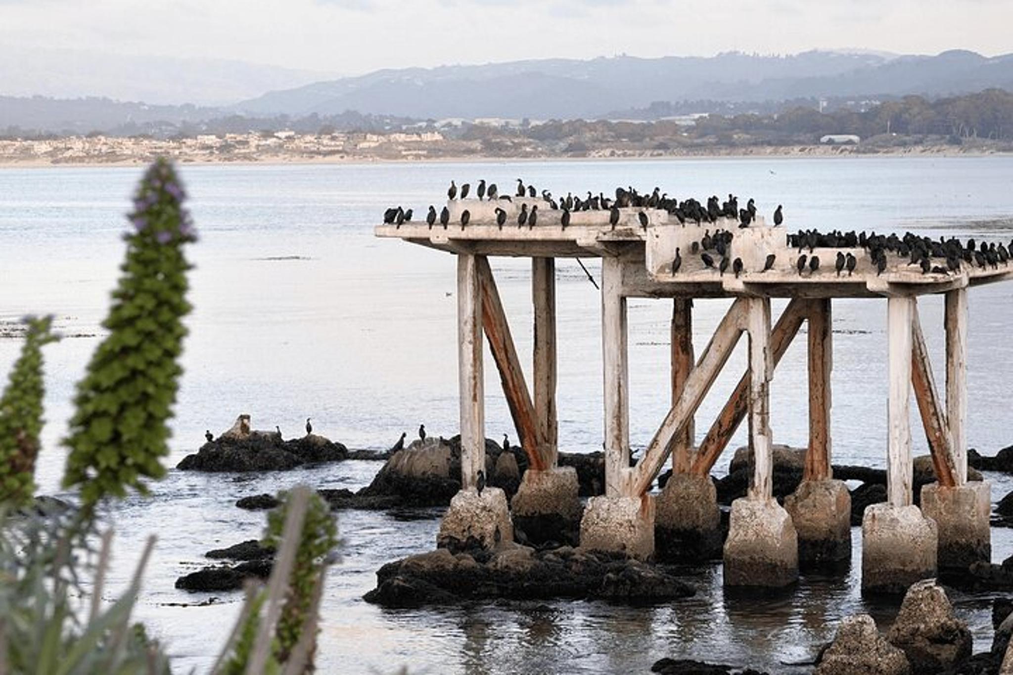 San Francisco Monterey and Carmel Day Trip - Image 4