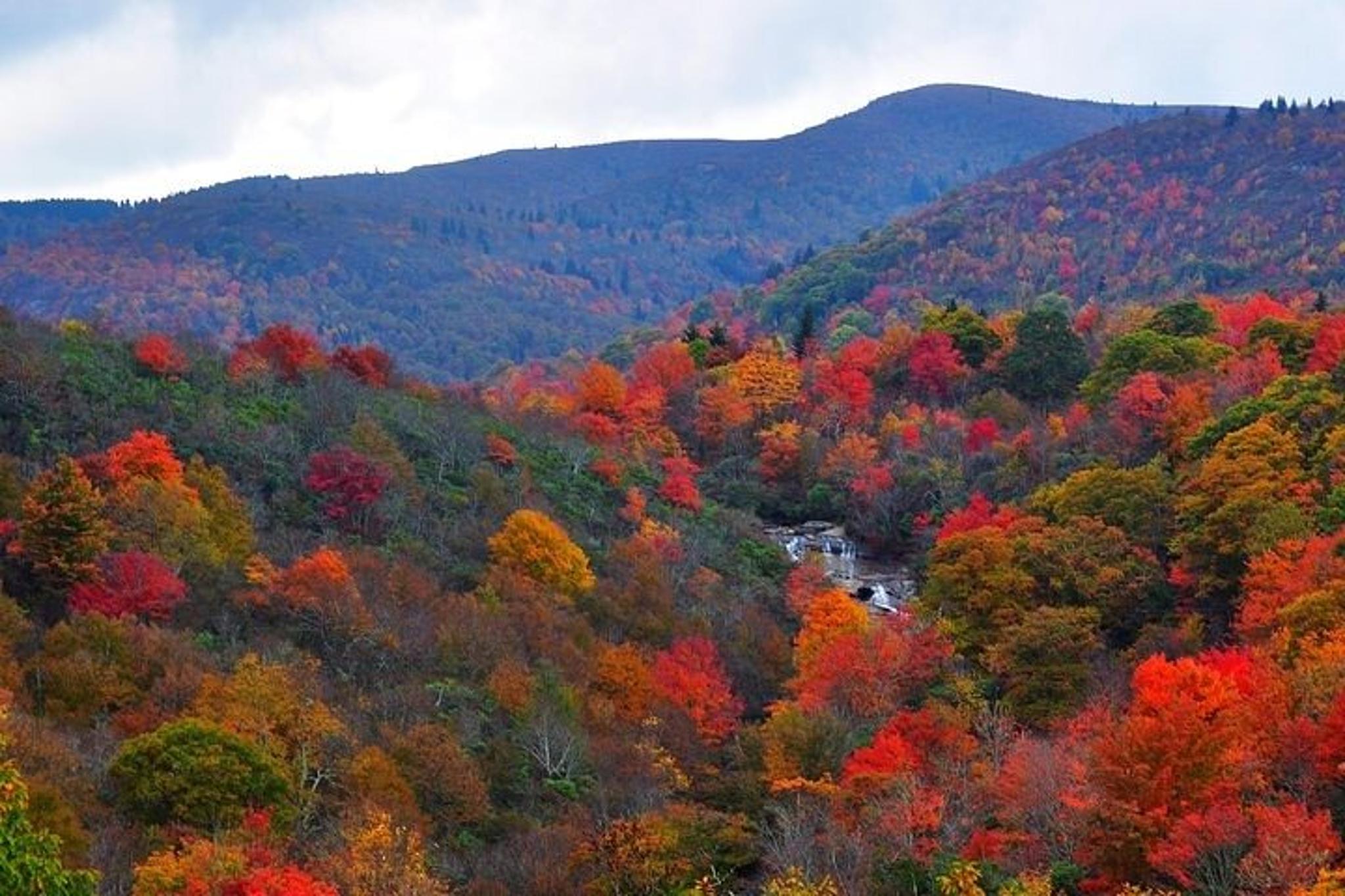 Asheville Rainforest and Waterfall Tour - Image 5
