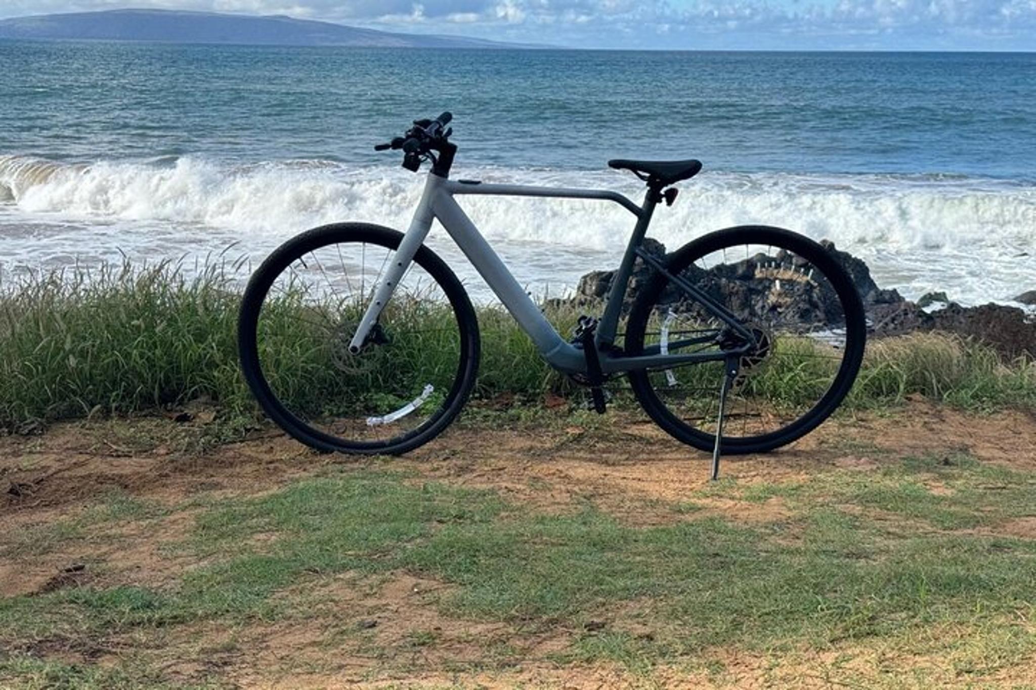 Maui Electric Bike Tour - Image 3