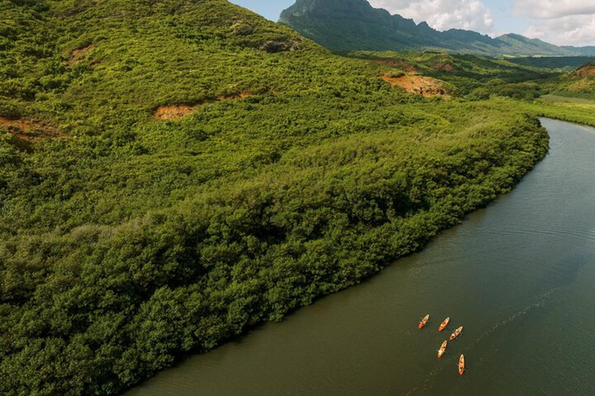 Kauai Huleia River Kayak and Hike - Image 6