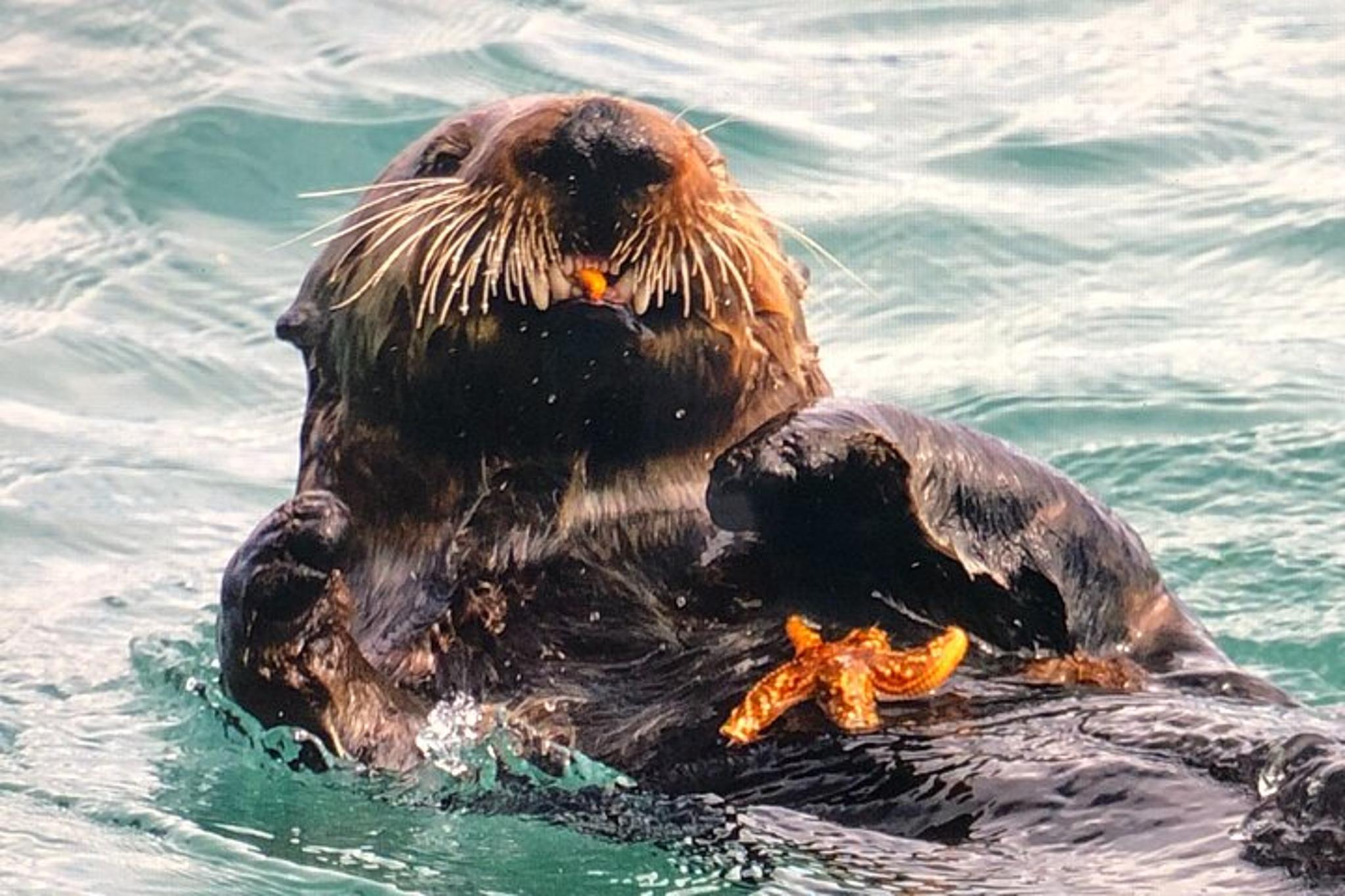 Whittier Walking Tour - Image 4