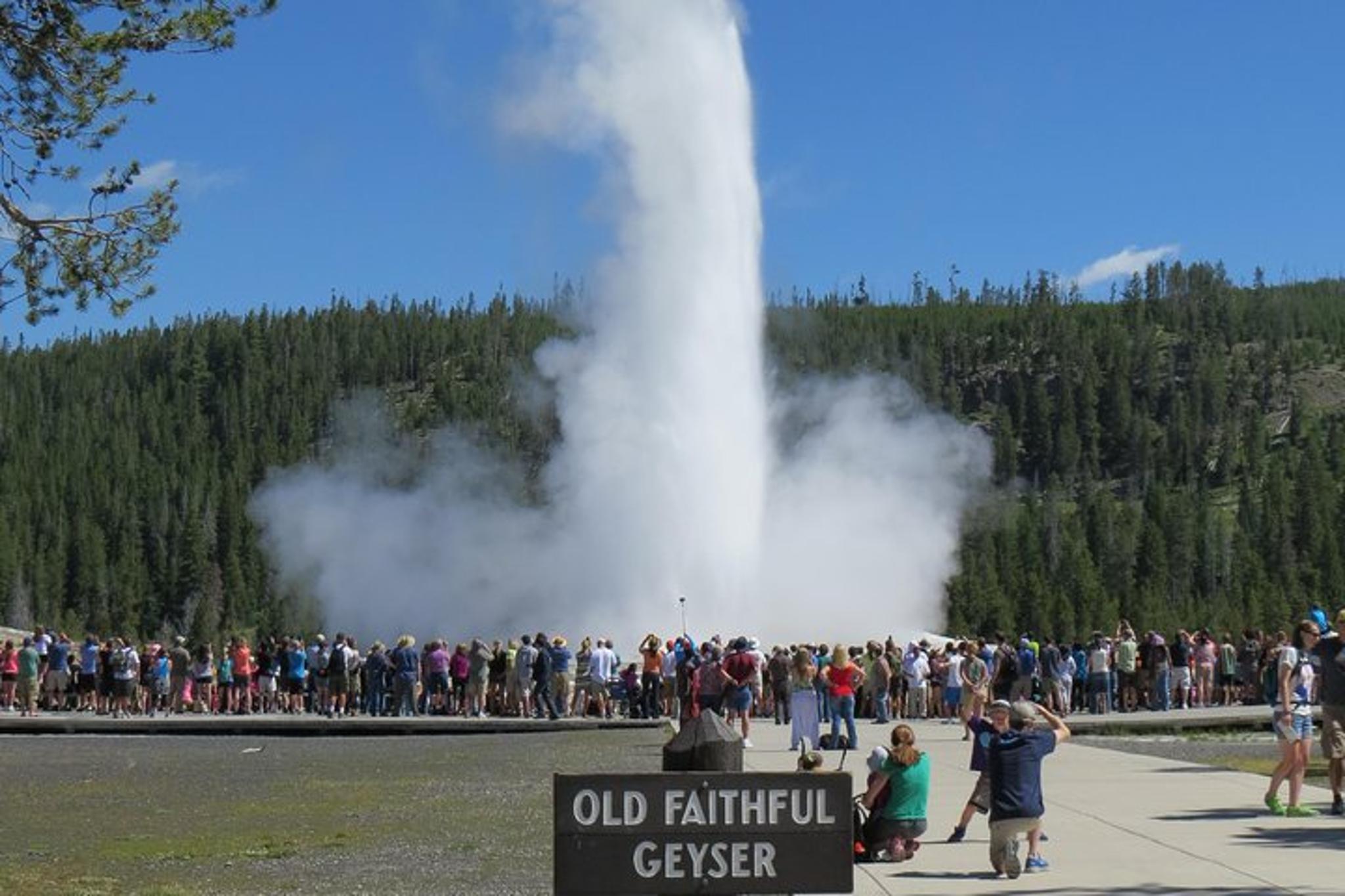 Jackson Hole Yellowstone Lower Loop Private Tour - Image 2