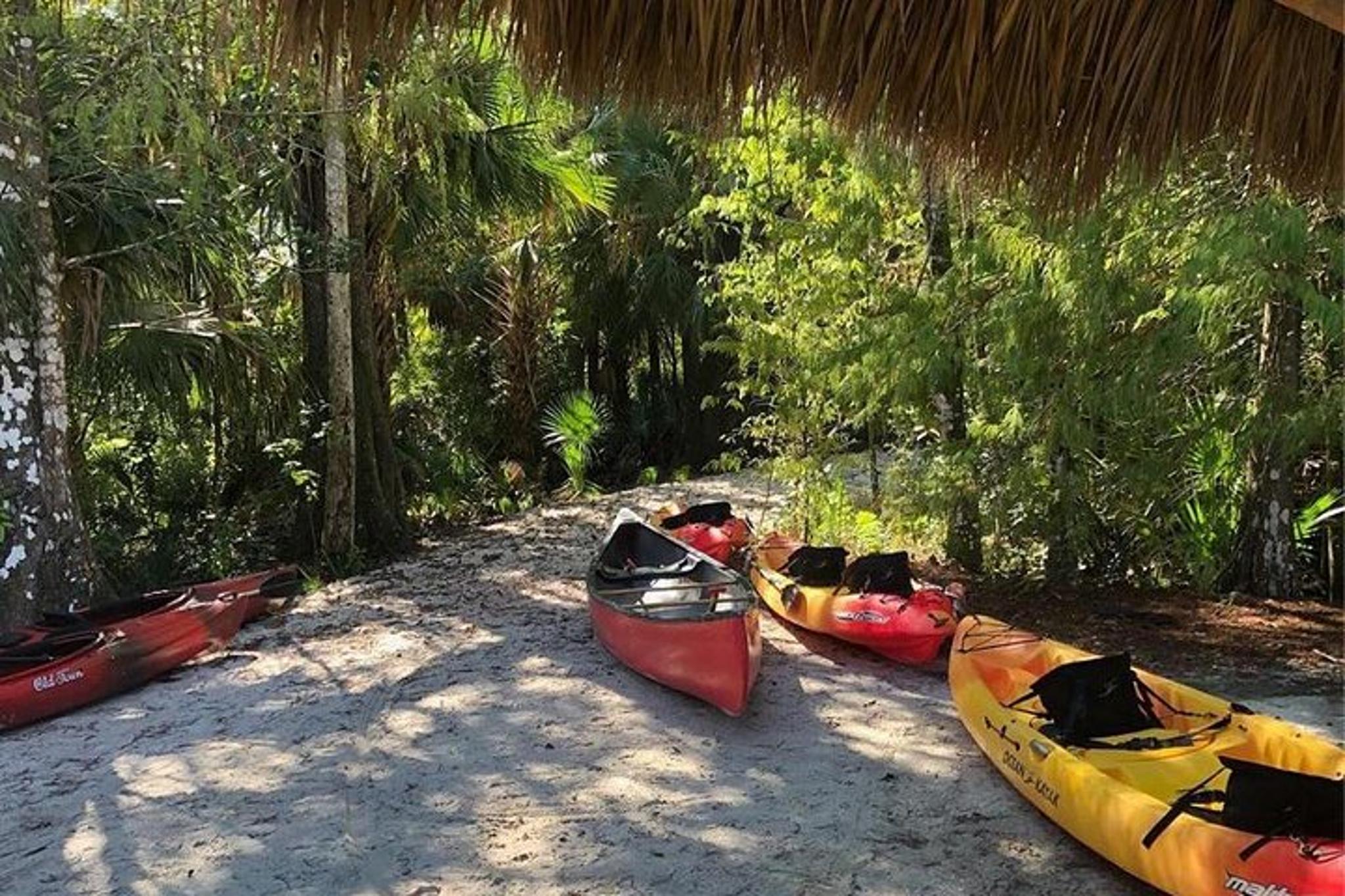 Loxahatchee River Guided Kayak Tour - Image 5