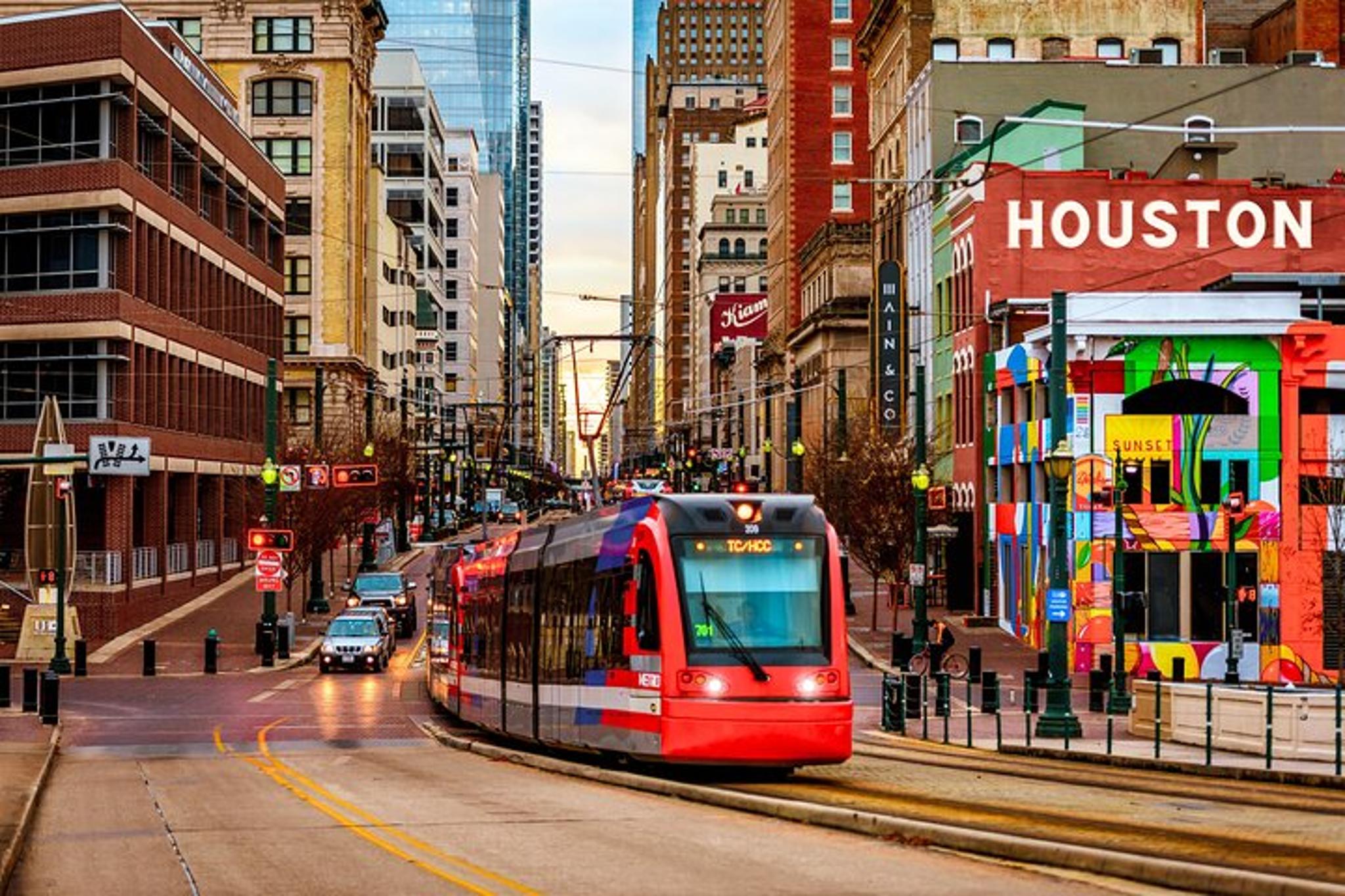 Houston Mural Tour & Butterfly Center 90 Min - Image 5