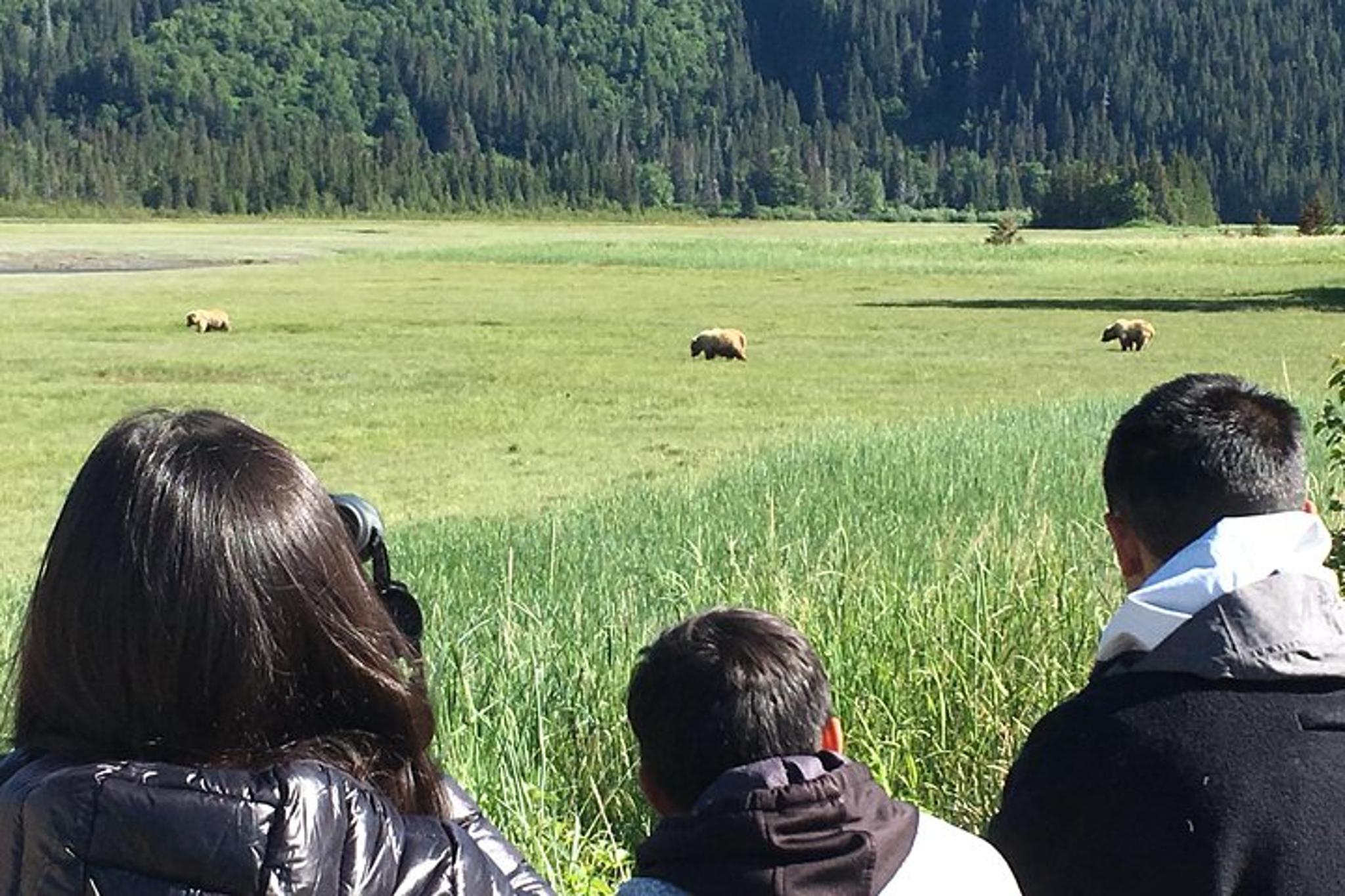 Anchorage Bear Viewing Airplane Adventure - Image 2