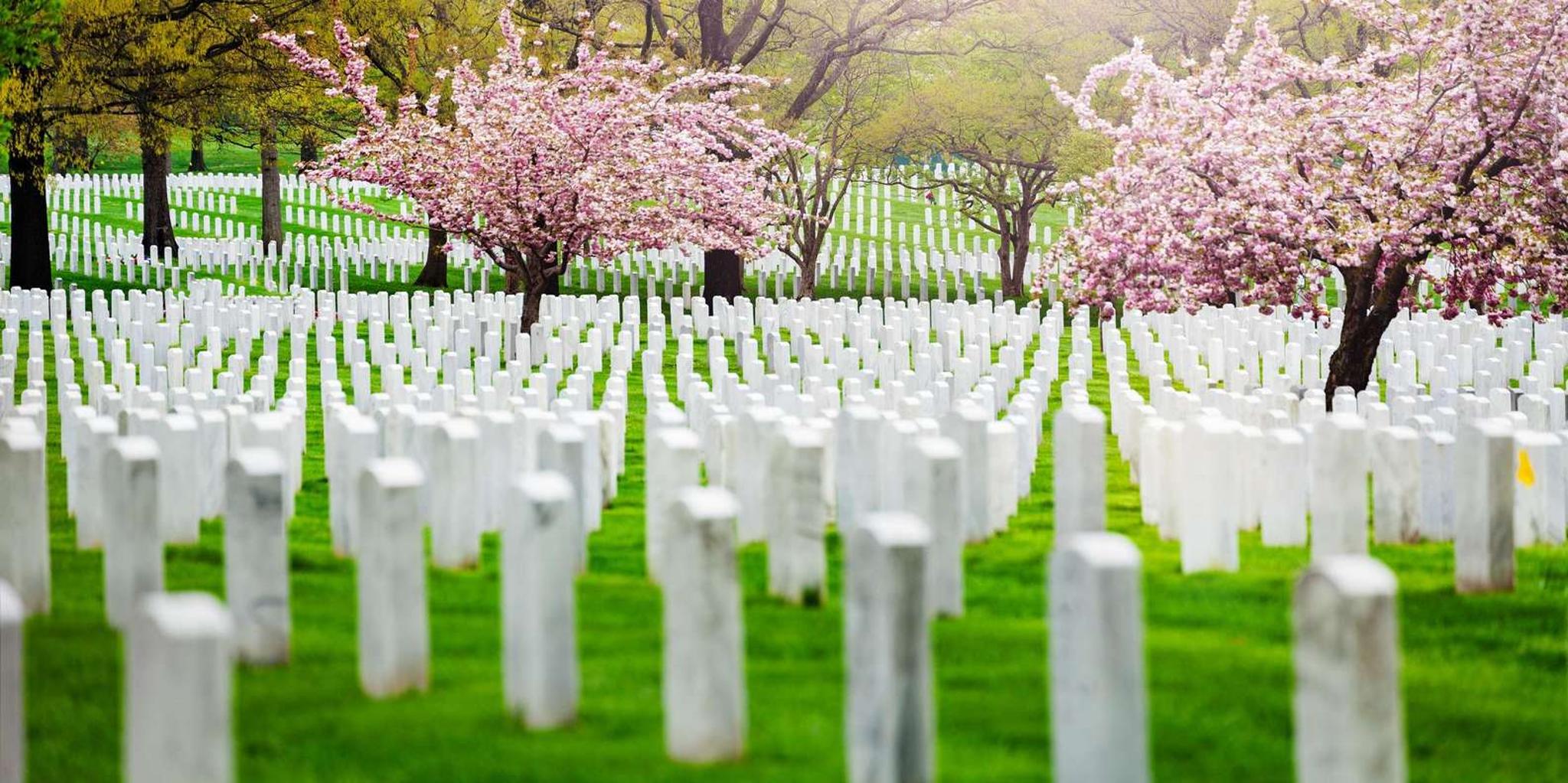 Arlington Cemetery Walking Tour - Image 3
