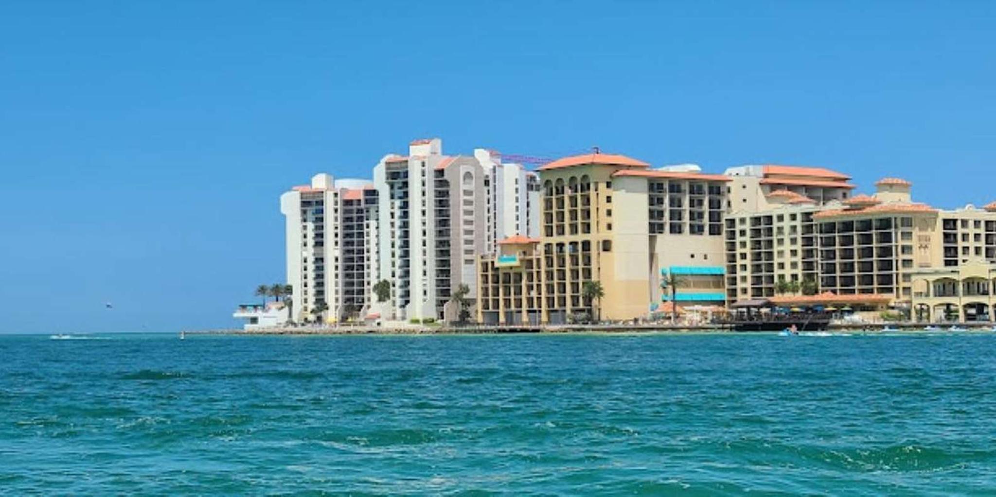 Clearwater Beach Dolphin Excursion - Image 4