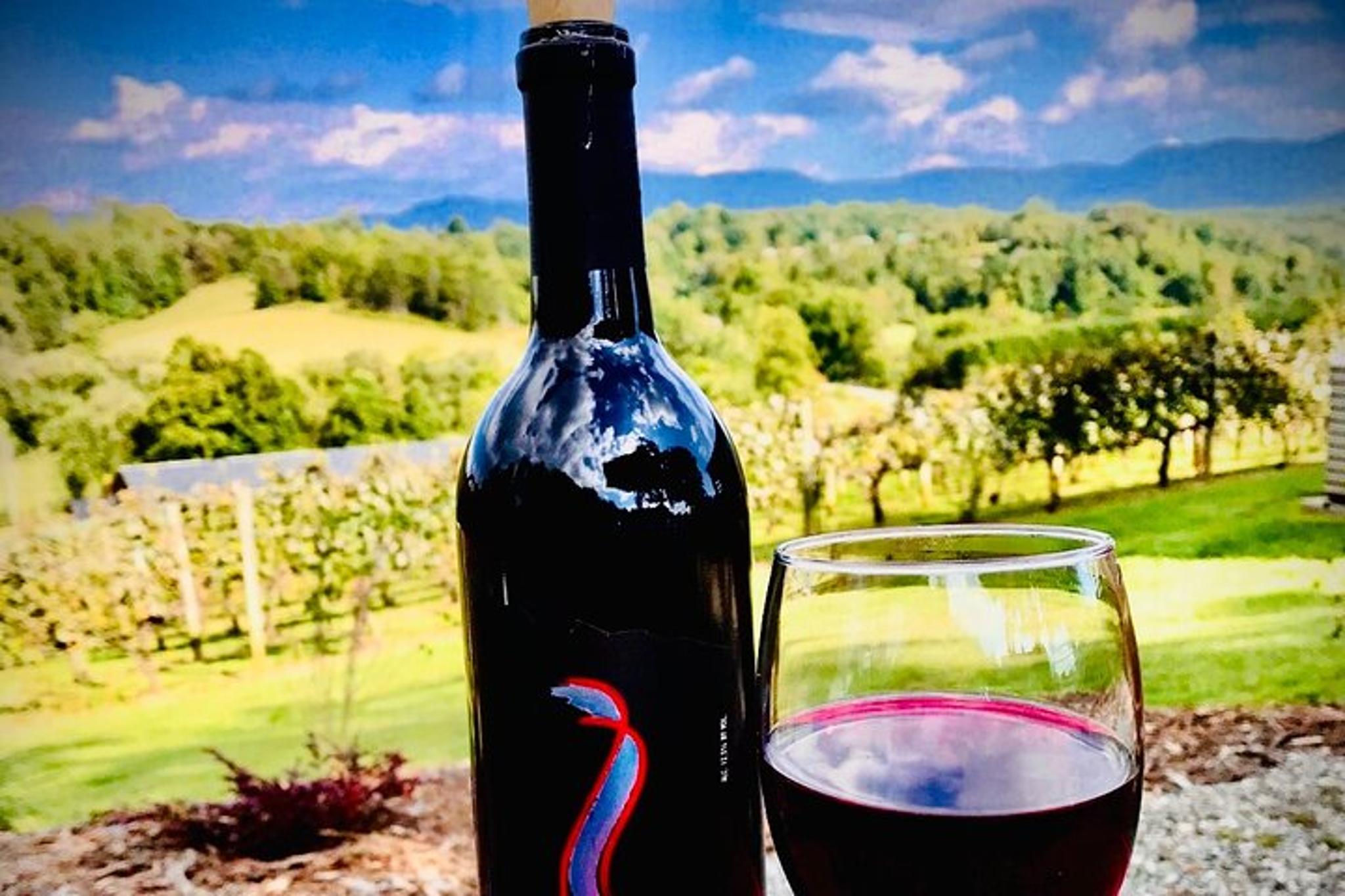 Asheville Wine Tour with Dining in Black Mountain - Image 4