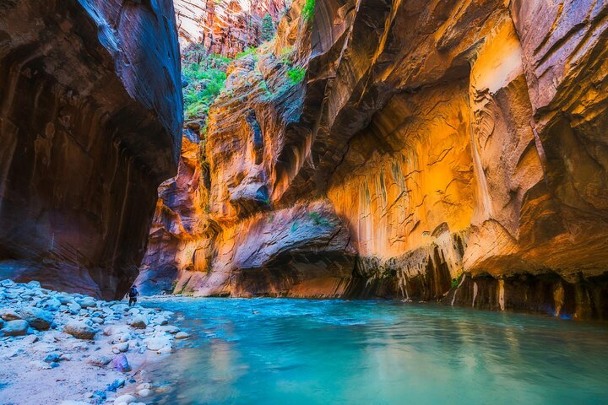 Zion National Park Guided Hike - Image 2